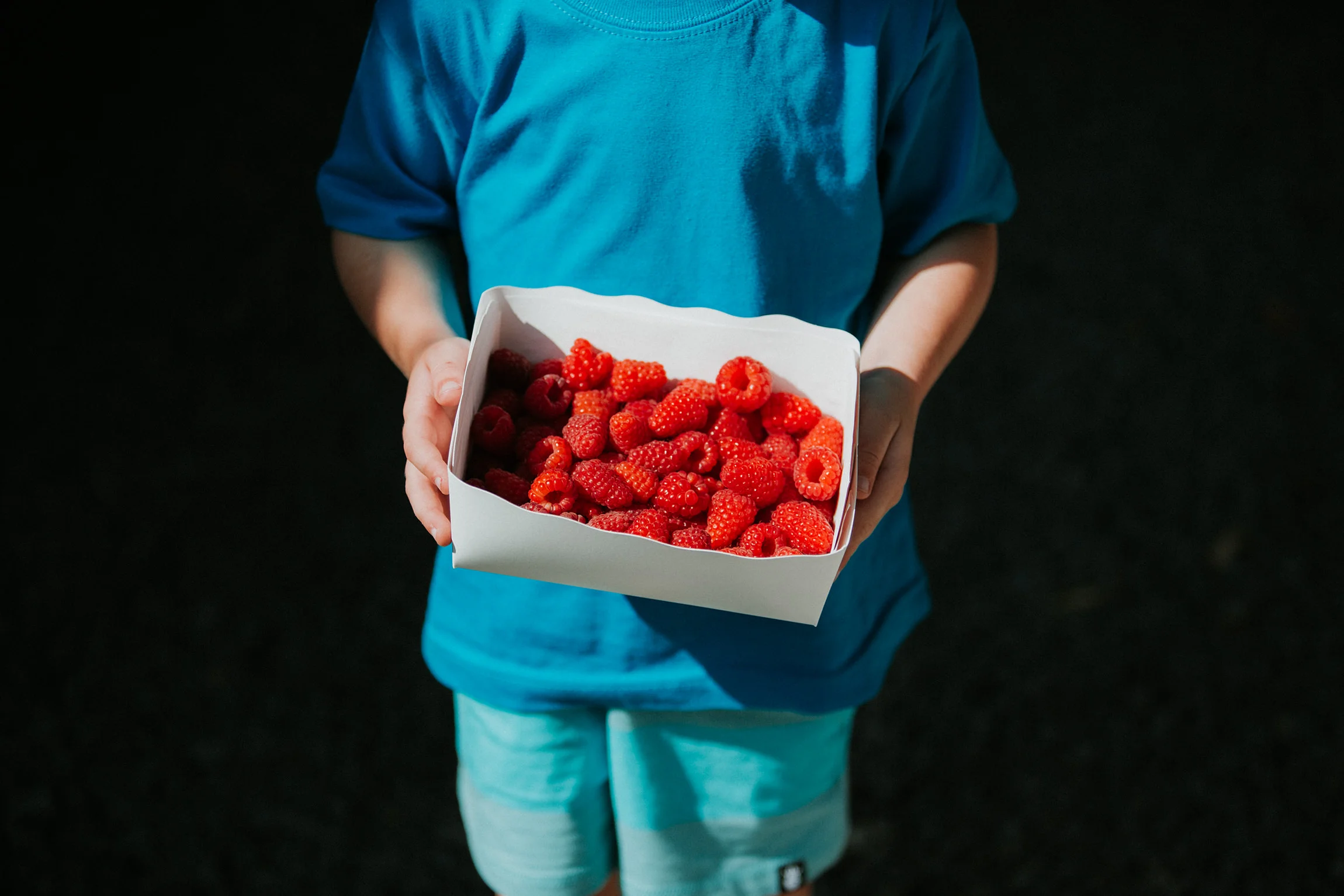  Yuri Andries Photography for Food Forest 