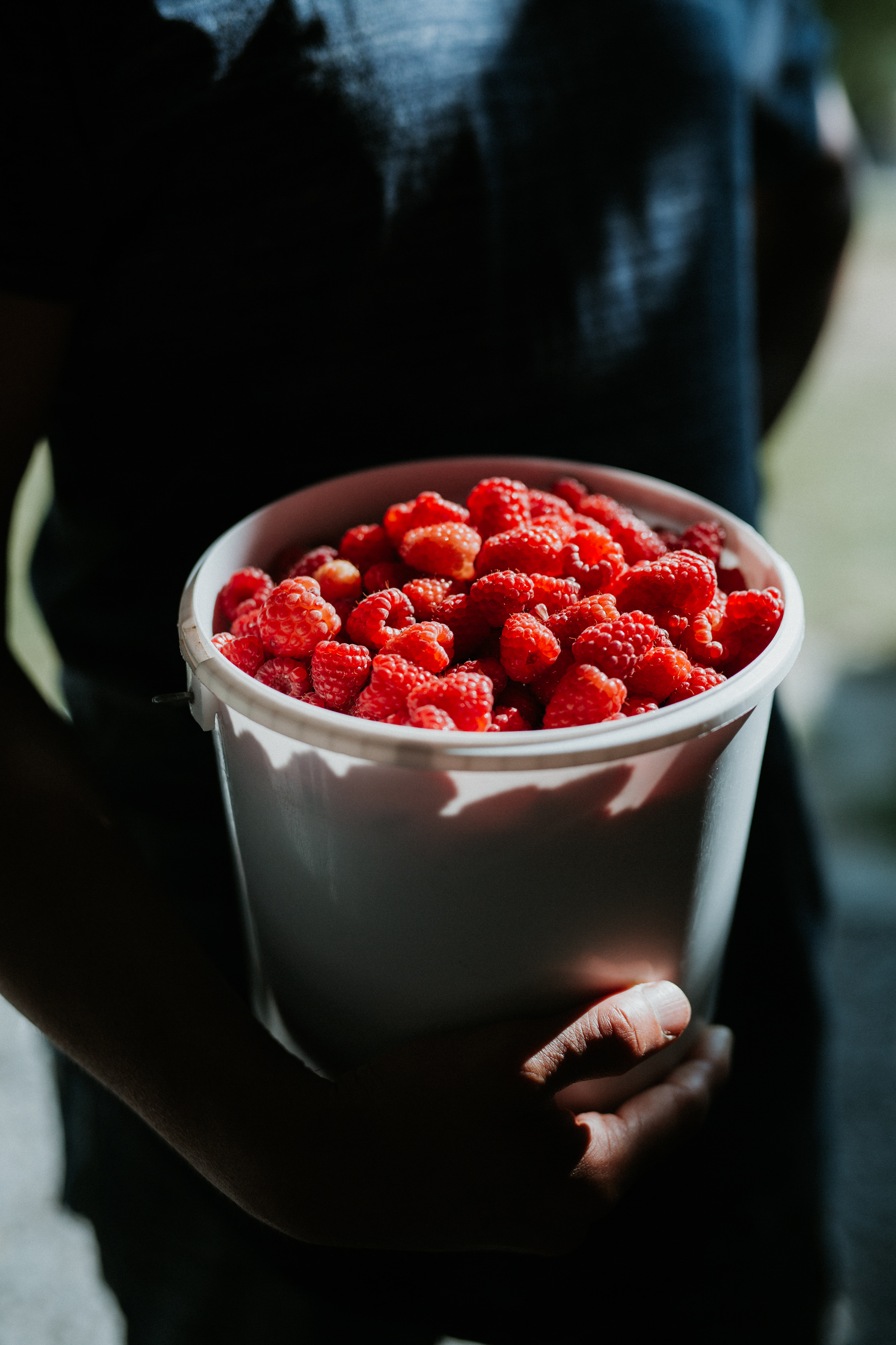  Yuri Andries Photography for Food Forest 