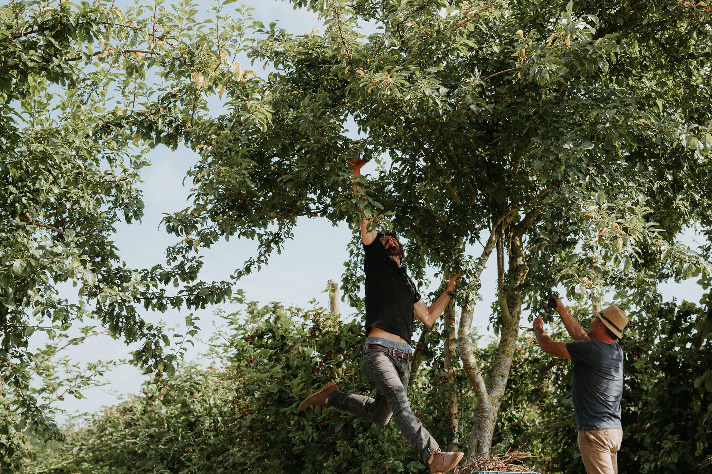  Yuri Andries Photography for Food Forest 