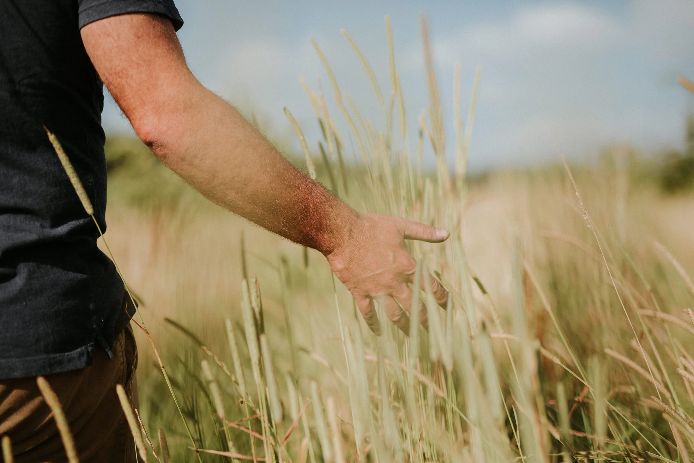  Yuri Andries Photography for Food Forest 