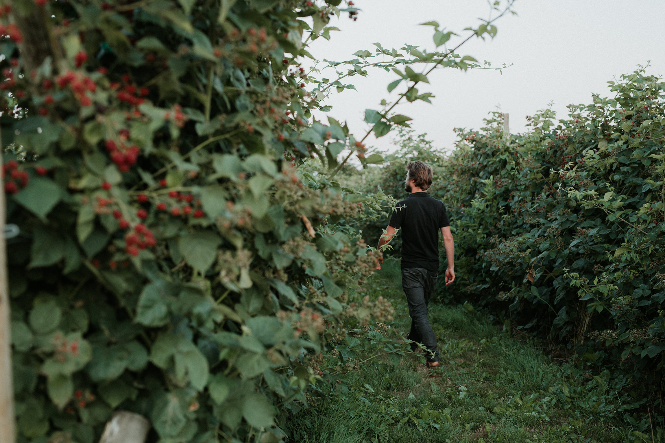  Yuri Andries Photography for Food Forest 