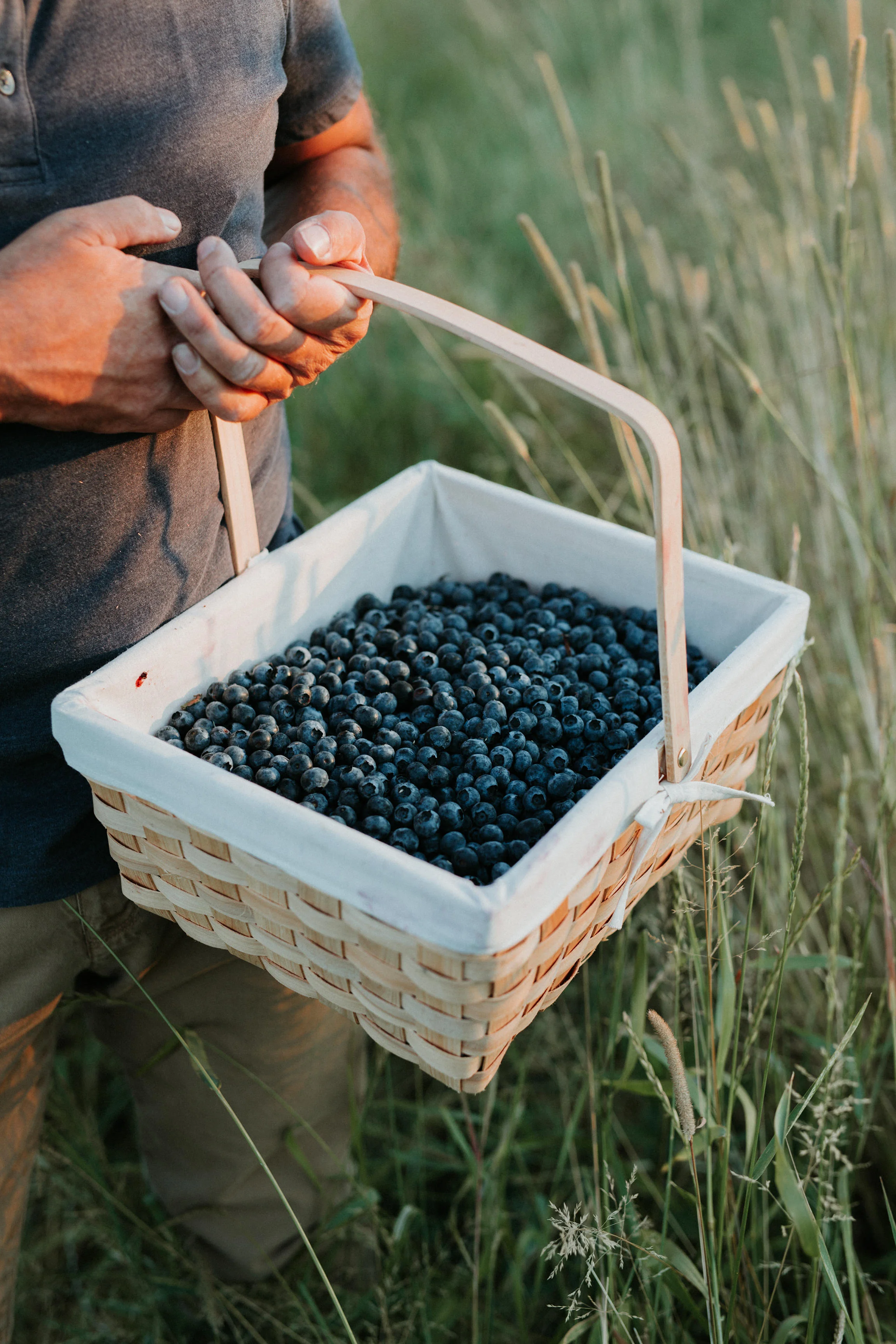  Yuri Andries Photography for Food Forest 