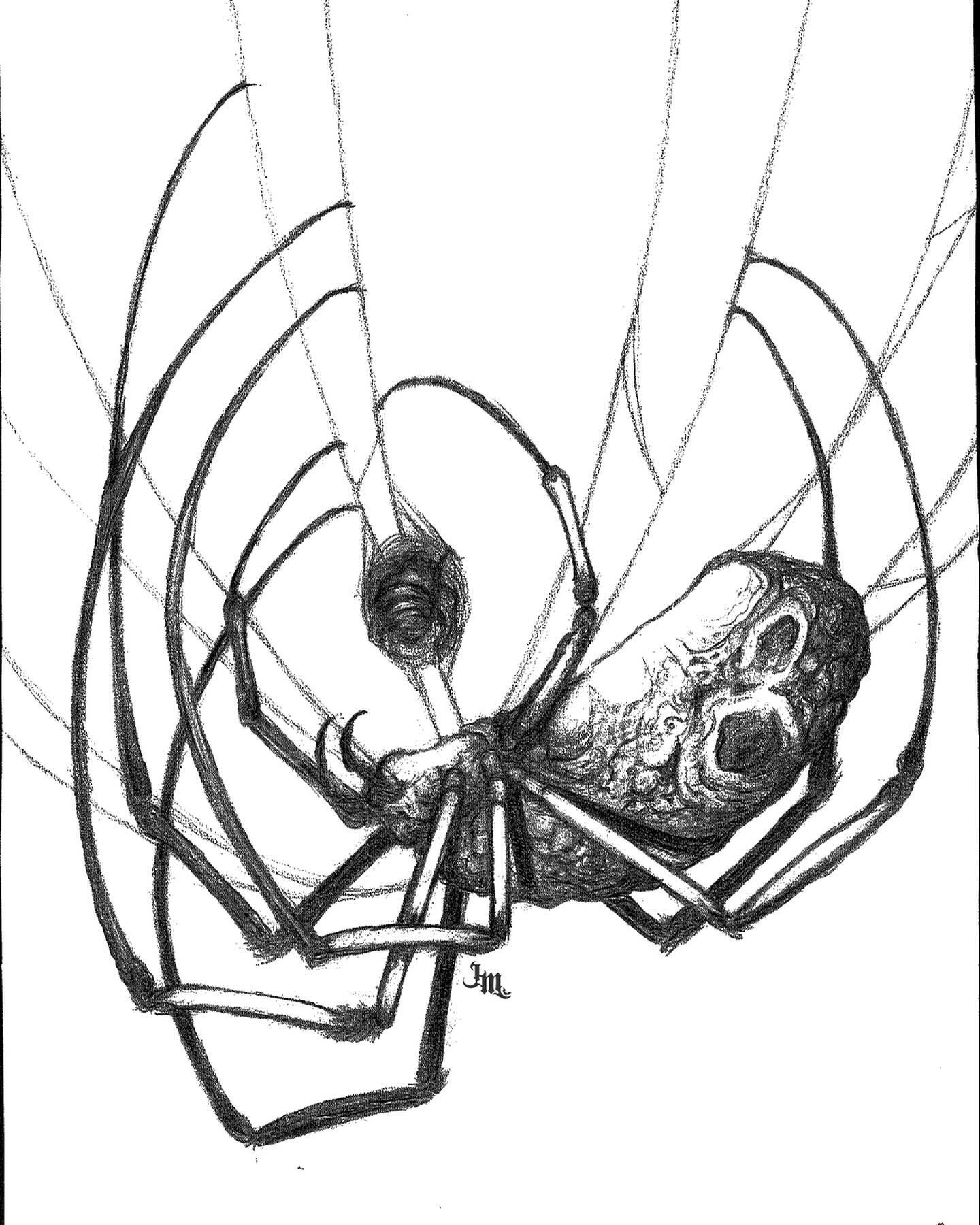 NEPHILA (2024) 
This year I wanted to challenge myself by creating a new artwork and entering my town&rsquo;s yearly art exhibition. This piece is inspired by a golden orb weaver spider who appeared in my garden a few years ago. She was named Shelob 