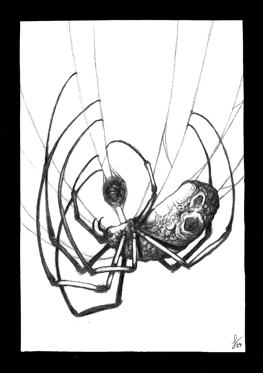 Nephila.png