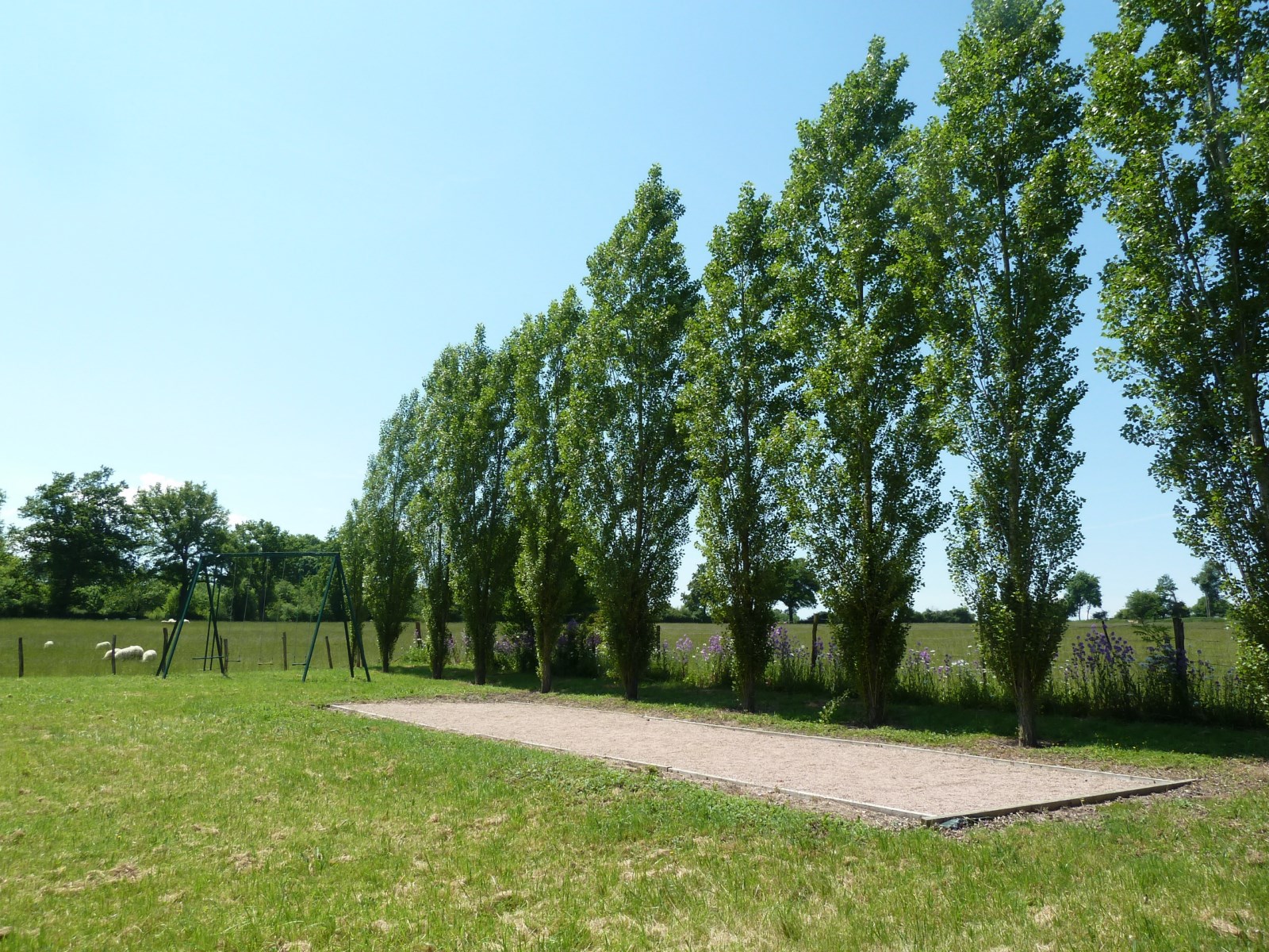 Terrain de boules