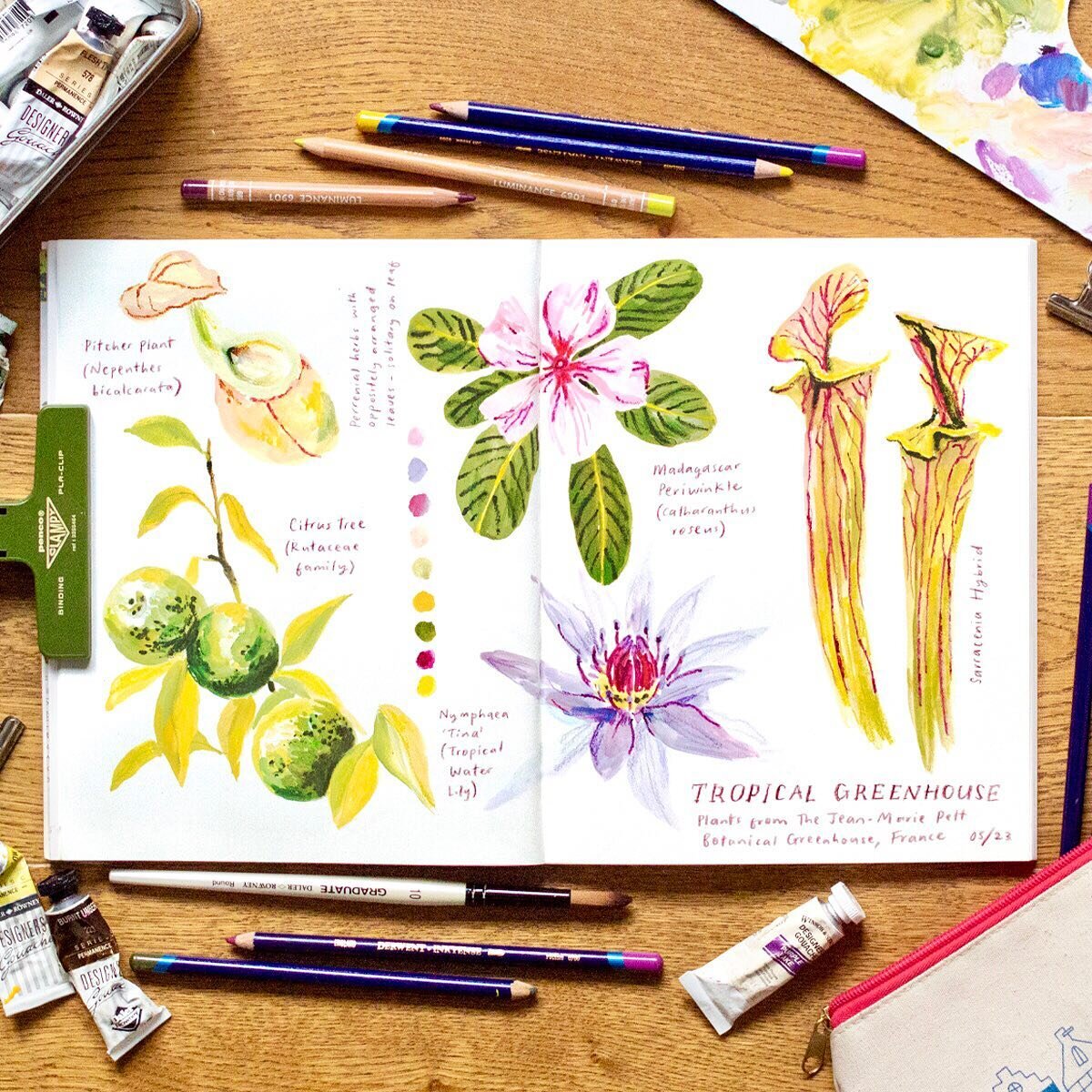 Animals yesterday, florals today! These are referenced from more photos from a botanical garden in France, this time from the tropical greenhouse. These aren&rsquo;t as loose as I&lsquo;d like but I enjoyed adding on all of the details! I used my Der