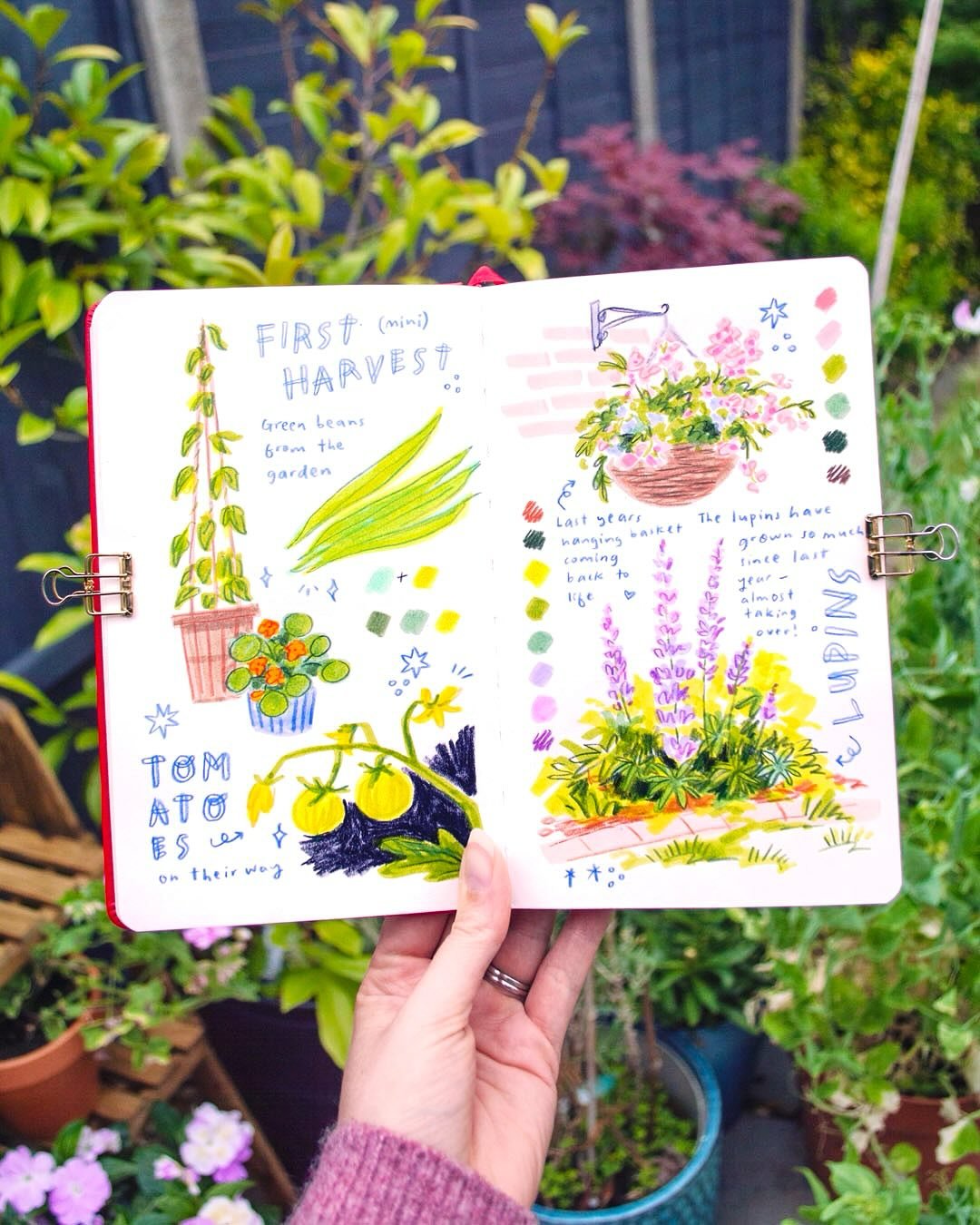 A throwback to a spread in the garden from last year when I was working on Sketchbook Joy &mdash; this is a step-by-step project in the book! I&rsquo;m hoping to paint my garden this week too; sadly the lupins have been decimated by aphids this year 