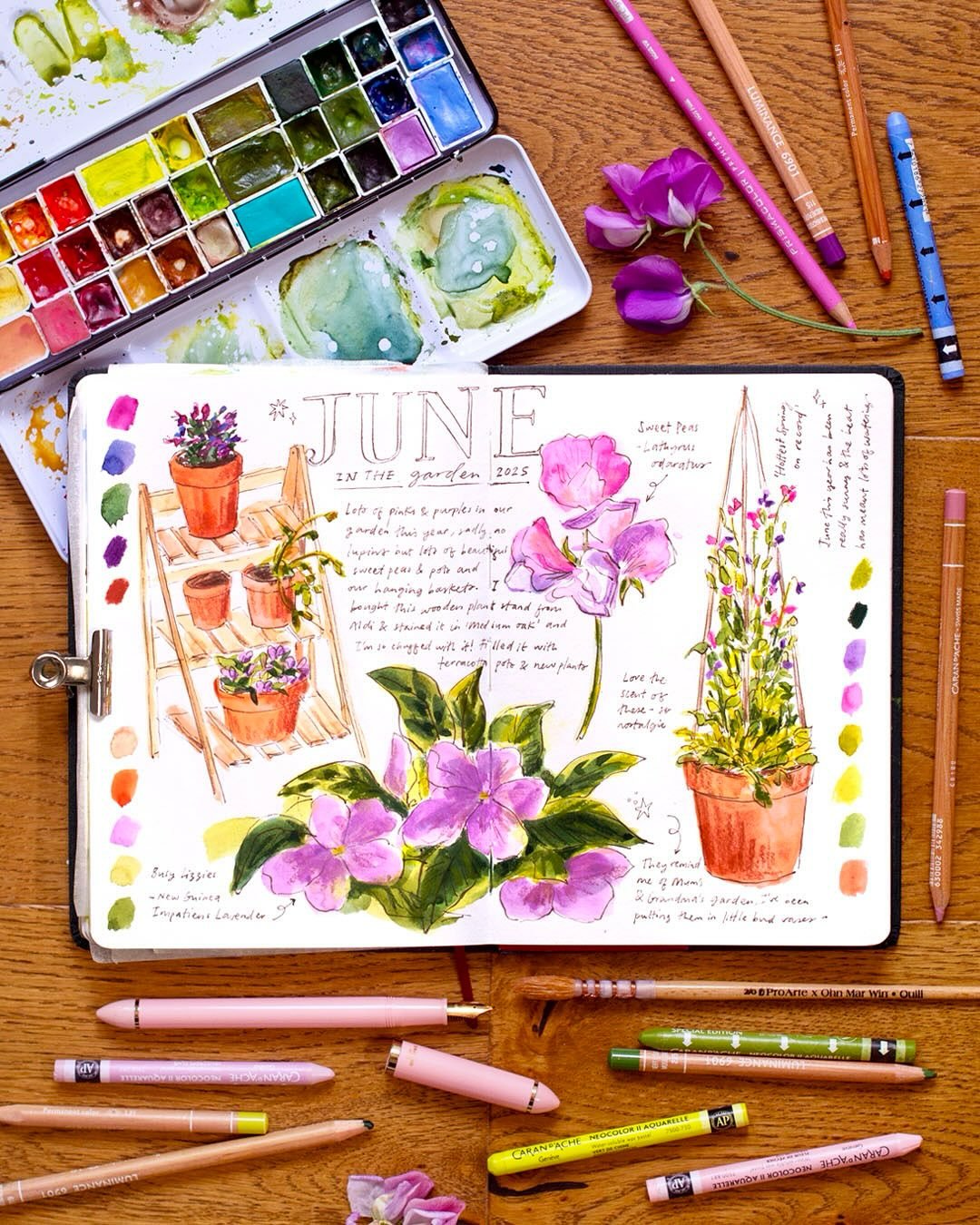 After sharing Tuesday&rsquo;s post I thought I&rsquo;d paint an updated view of the beautiful blooms in our garden at the moment! Lots of purples which don&rsquo;t often make their way into my spreads, but thank goodness for Wisteria by @danielsmitha