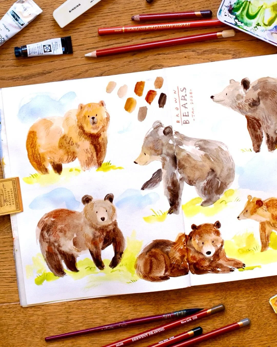 We&rsquo;re drawing animals on my @patreon this month! 🐻 My main aims are to loosen up, play (of course) and build my confidence. These bears were painted without sketching, keeping things loose with base shapes of watercolour and then pencils on to