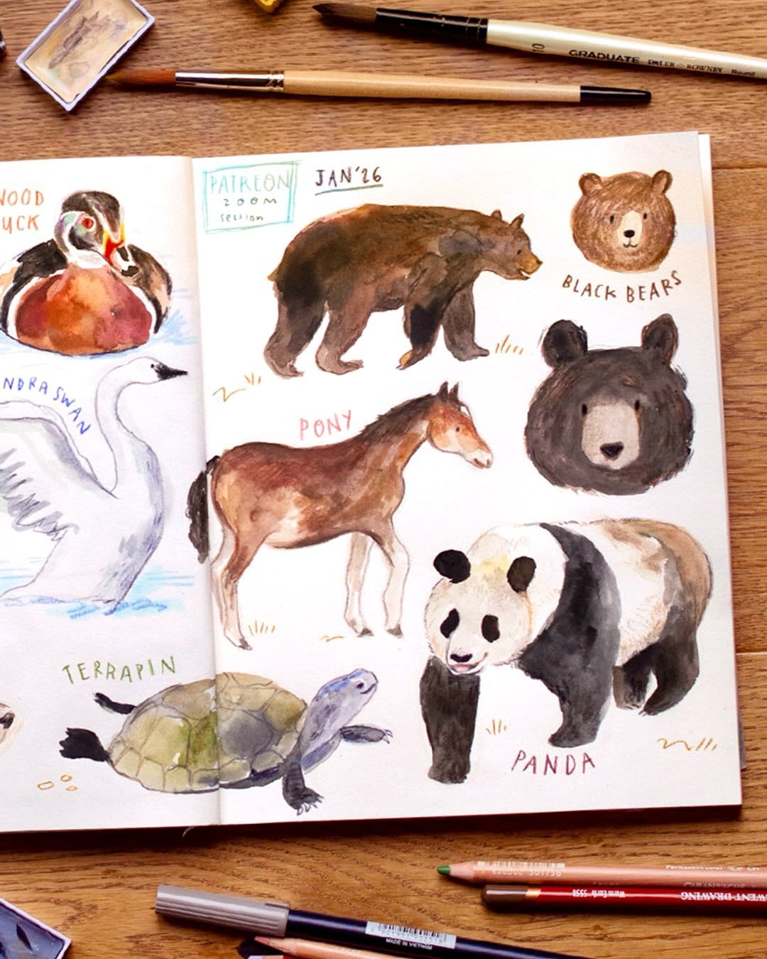 Another joyful sketchbook session with my patrons, filled with animals! 🐼 Swipe for the full spread and lots of close-ups ➡️

We had a bit longer on these than our previous 4-minute A-Z session, with timers from 5 to 35 minutes. We had fun playing w