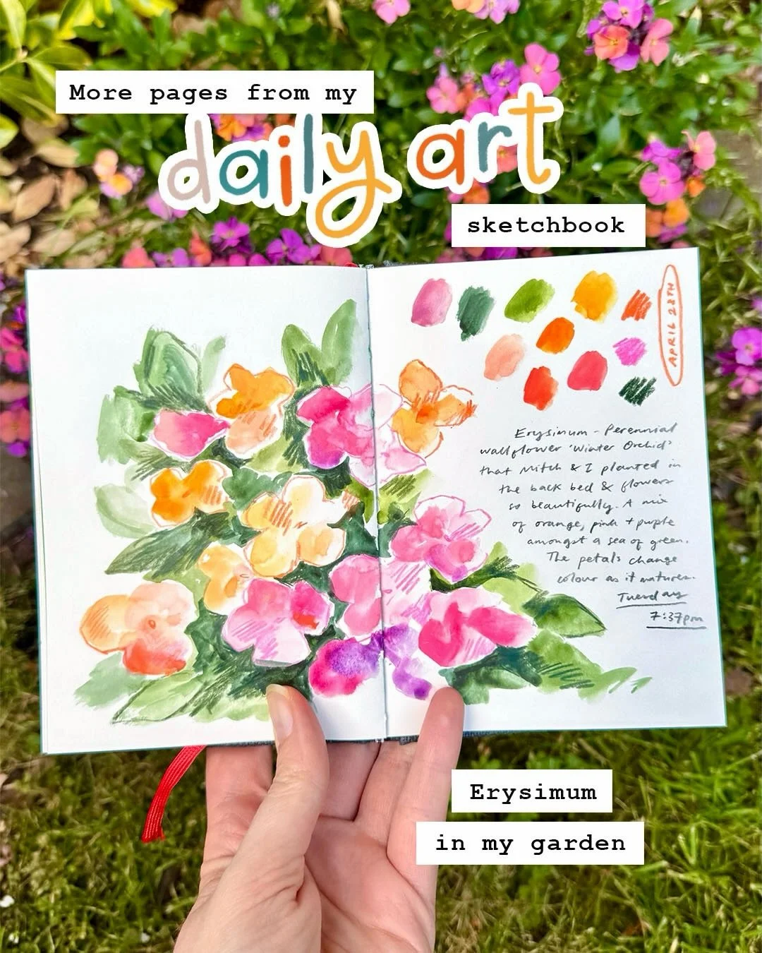 A few more pages from the past week of my daily drawing/#PleinAirpril challenge this month 🎨 Not so many adventures due to having to stay close to home but I am drawing from life for each page! No references allowed in this little sketchbook of mine