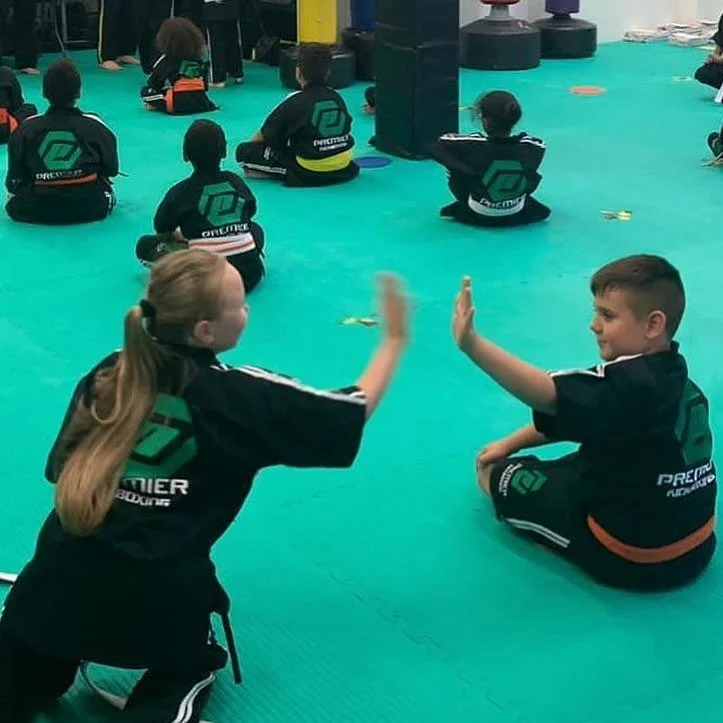 &ldquo;Someone asked &ldquo;Why do you pay so much money for your kids to do martial arts&rdquo;? Well I have a confession to make; I don&rsquo;t pay for my kids just to do kicks and punches.

So, what am I paying for?

- I pay for those moments when