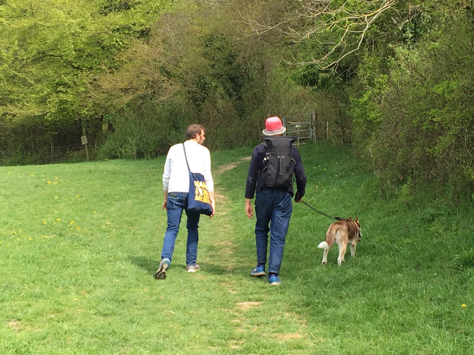 WE BROUGHT ‘NOVA’ THE 8 MONTH OLD HUSKY WITH US!
