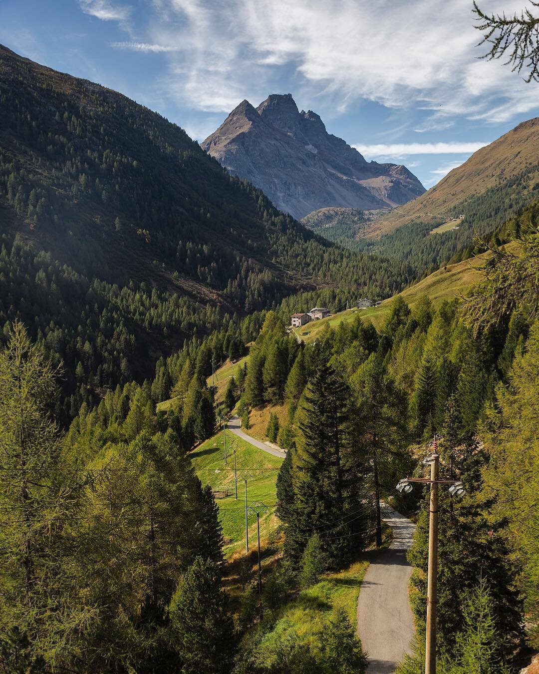 Foraging in the Italian Alps for the mountain herbs that make up Braulio, the alpine amaro that was created in 1875 with a family recipe that has been passed down generation after generation. Link in bio for the full story. #amariclub