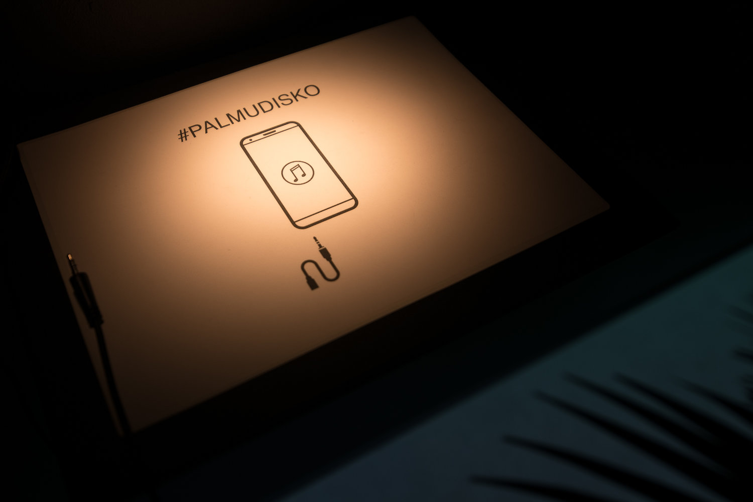 niskanensalo-palmudiskokiasma4.jpeg