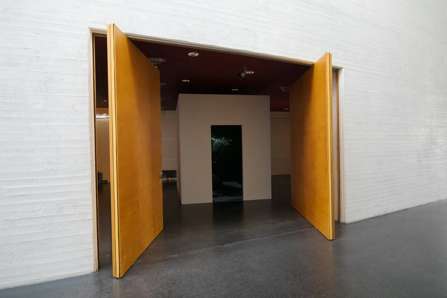 niskanensalo-palmudiskokiasma2.jpeg
