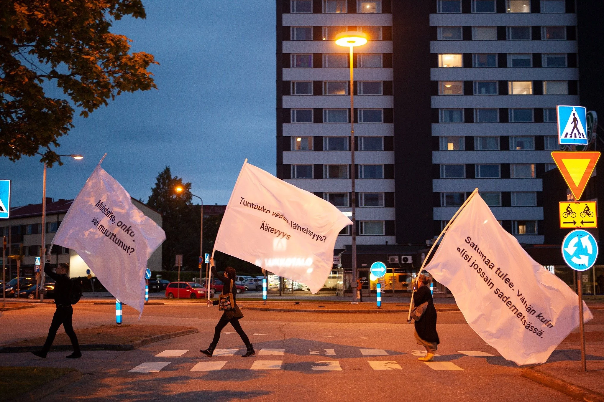 Jani-Matti Salo, Artist