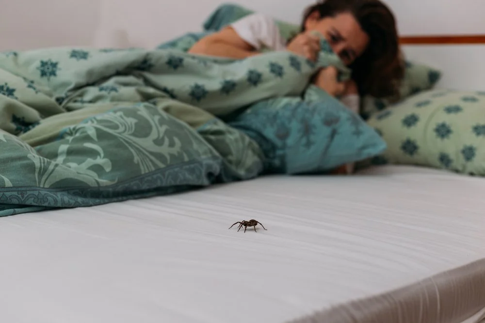 Woman in bed afraid of bug near her in the bed