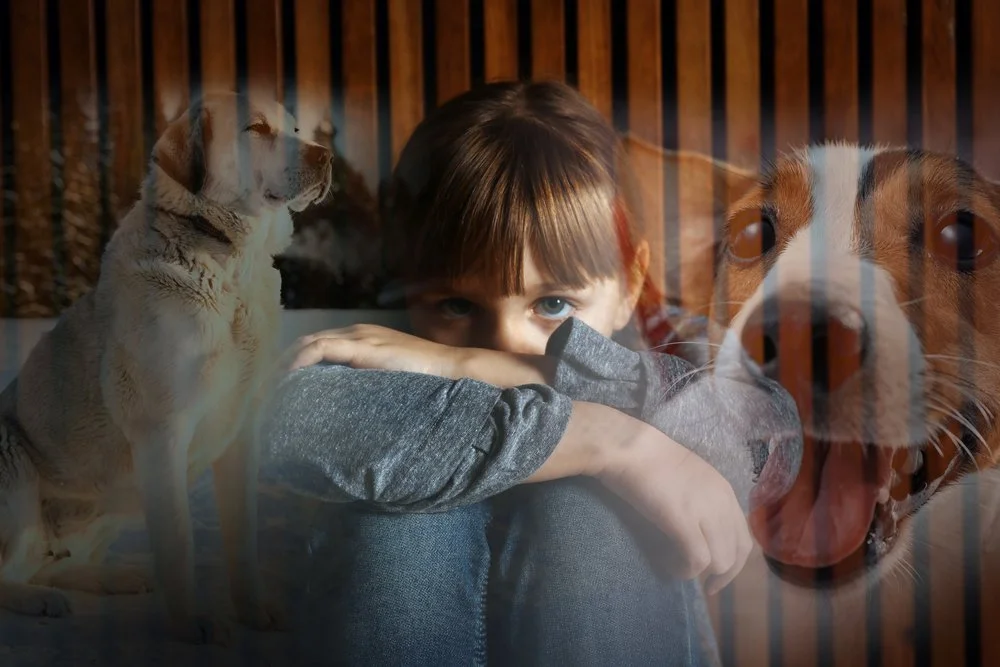 Young child afraid of dogs