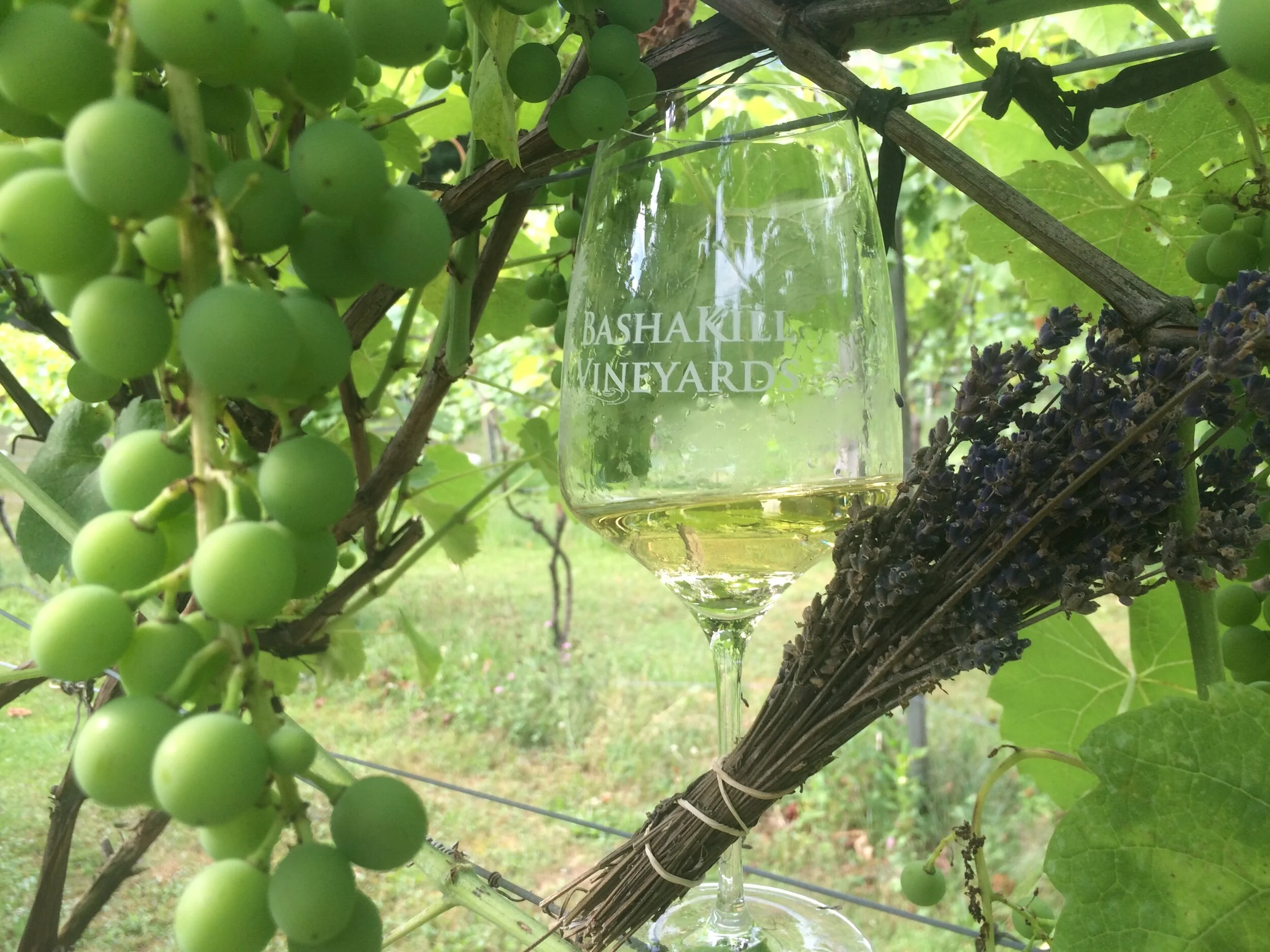 60EF5618-3DEA-4E24-AF70-376493F8022E