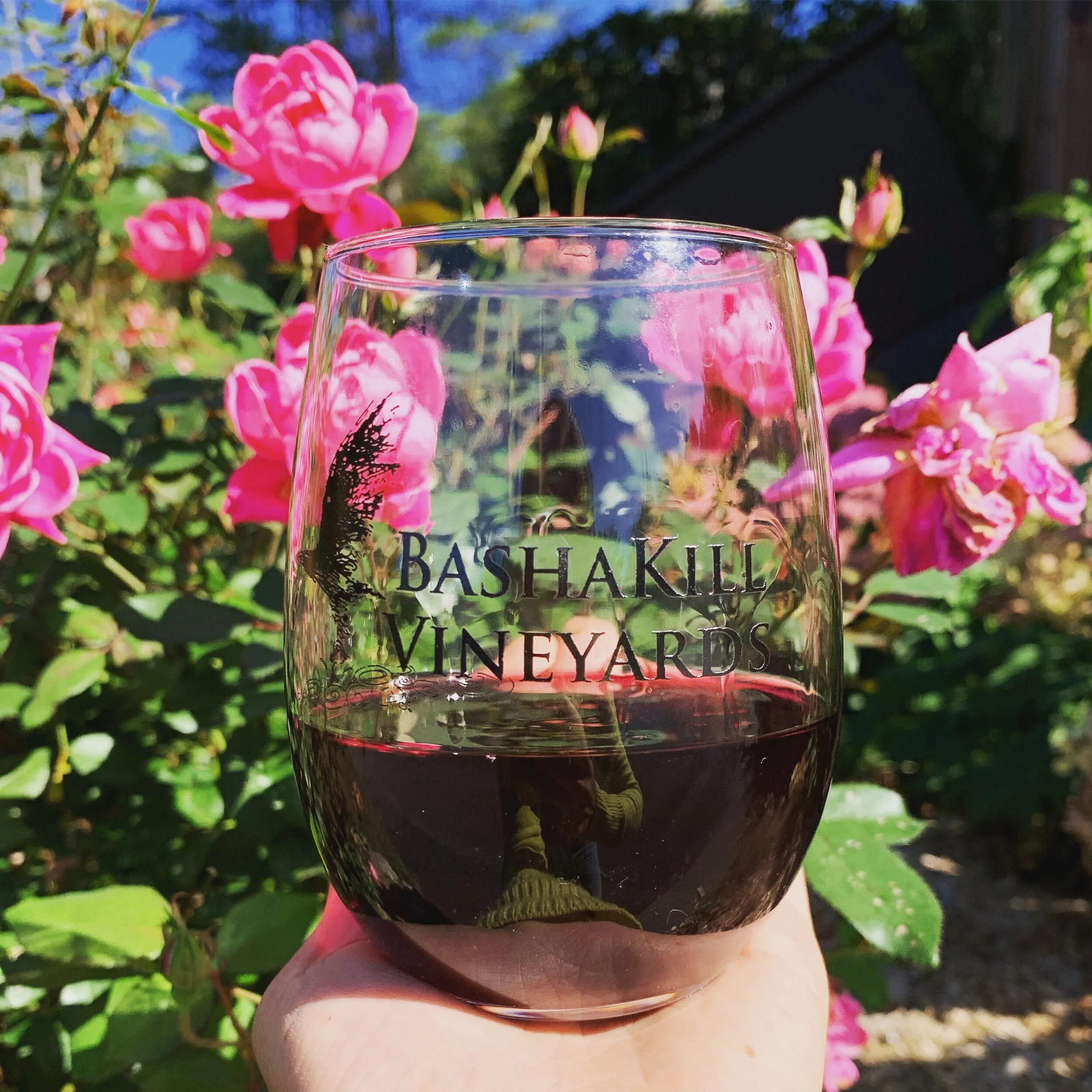 2A11E07D-4093-4EDF-BC89-1A1495480AC2