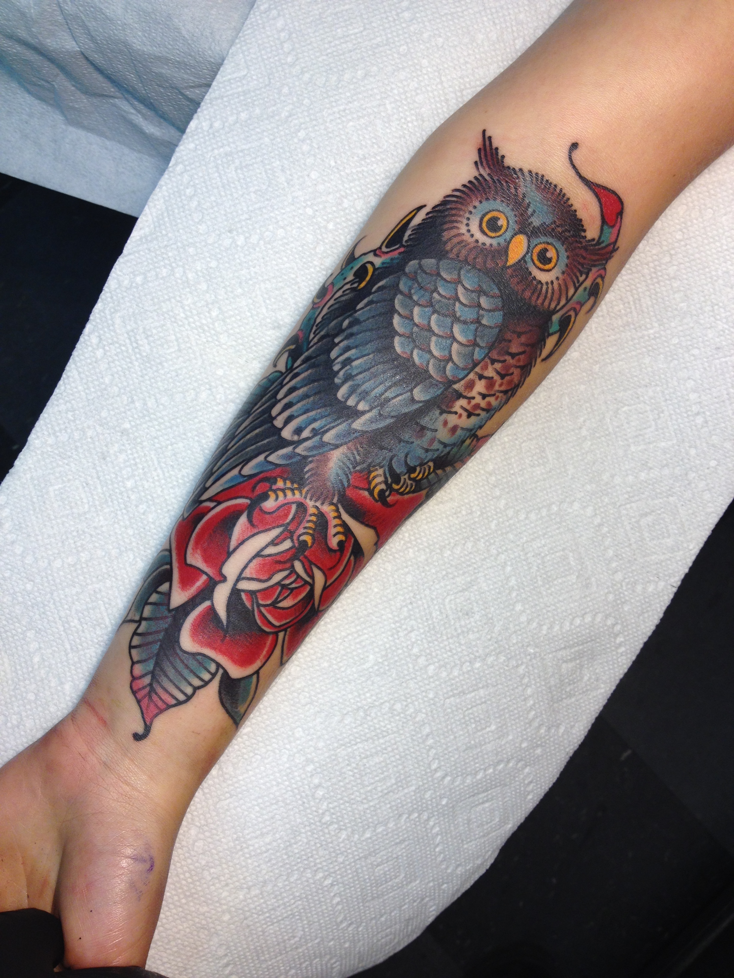 Owl on Rose 