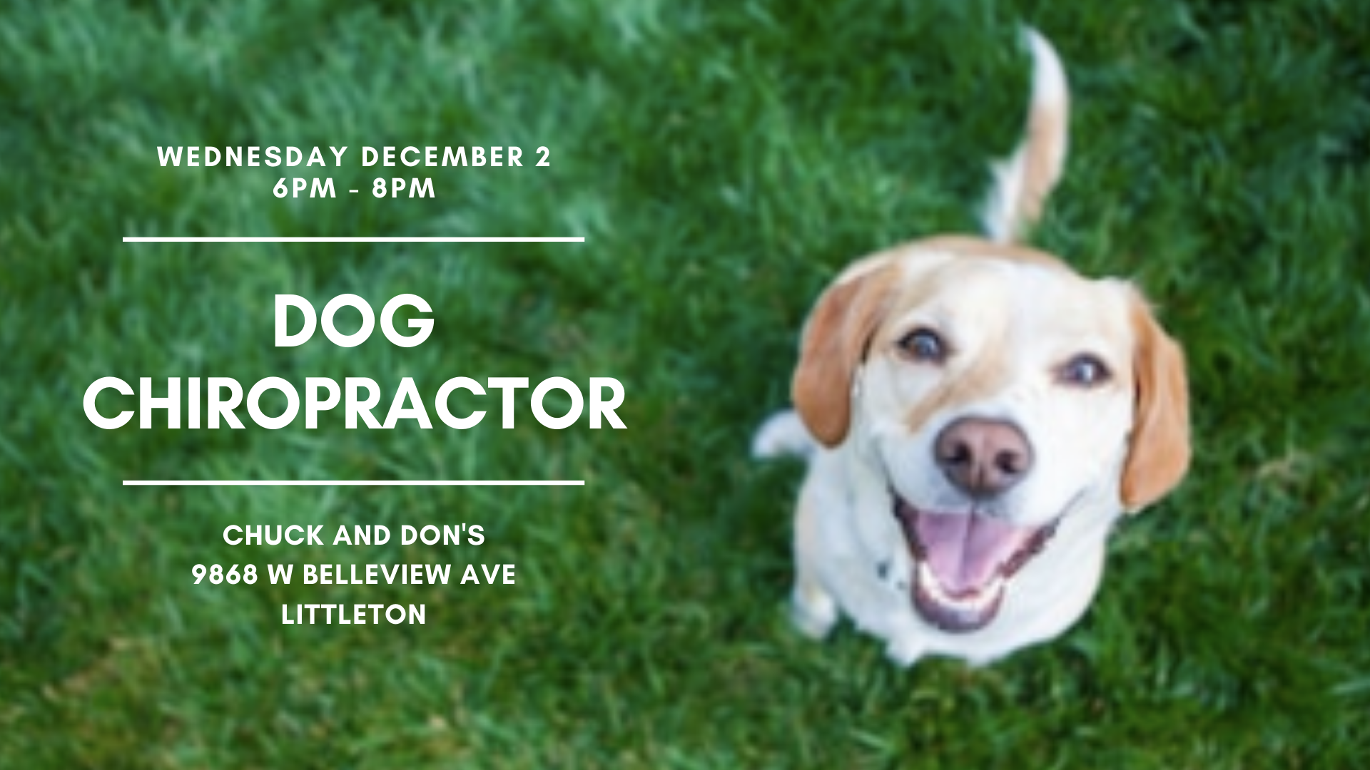 Dog Chiropractic Pop-Up Event