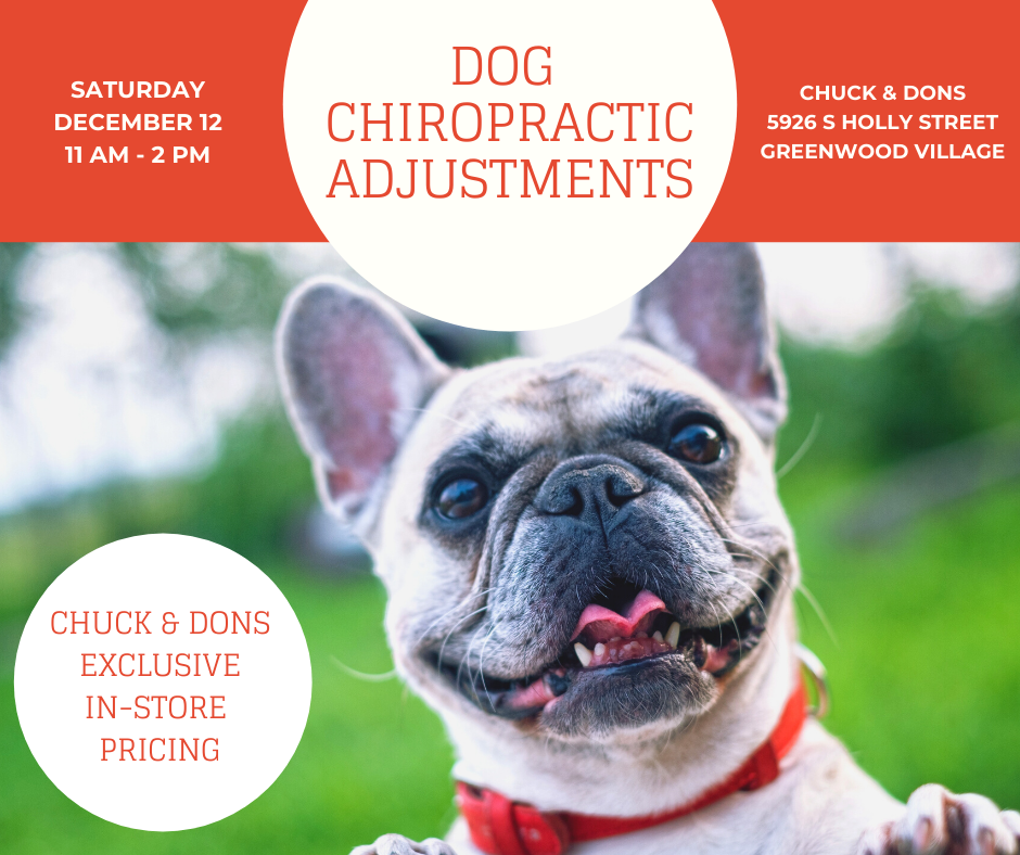 Dog Chiropractic Pop-Up Event