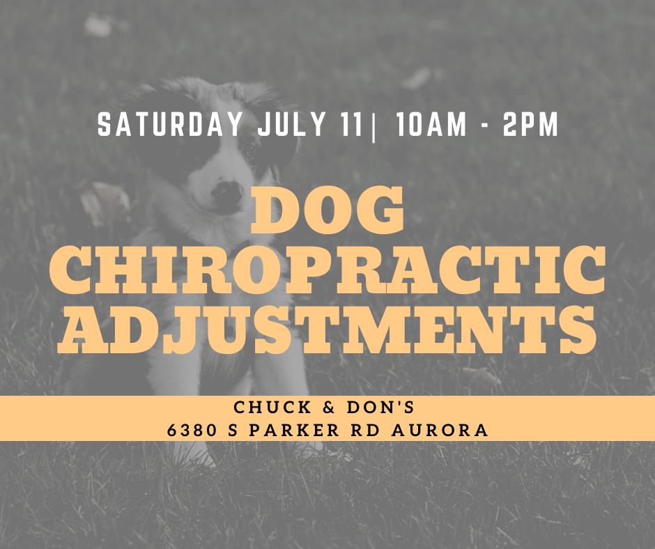Dog Chiropractic Pop-Up Event