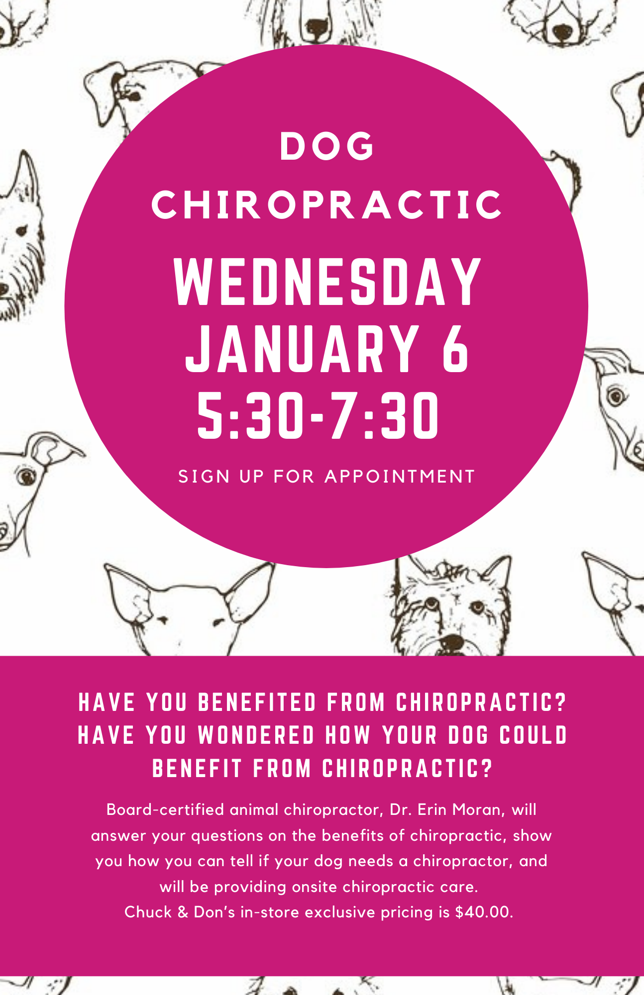 Dog Chiropractic Pop-Up Event