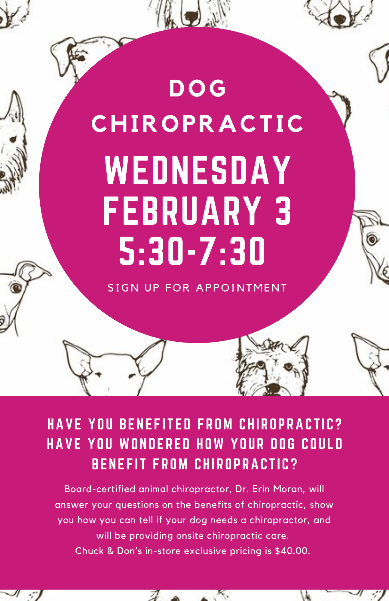 Dog Chiropractic Pop-Up Event