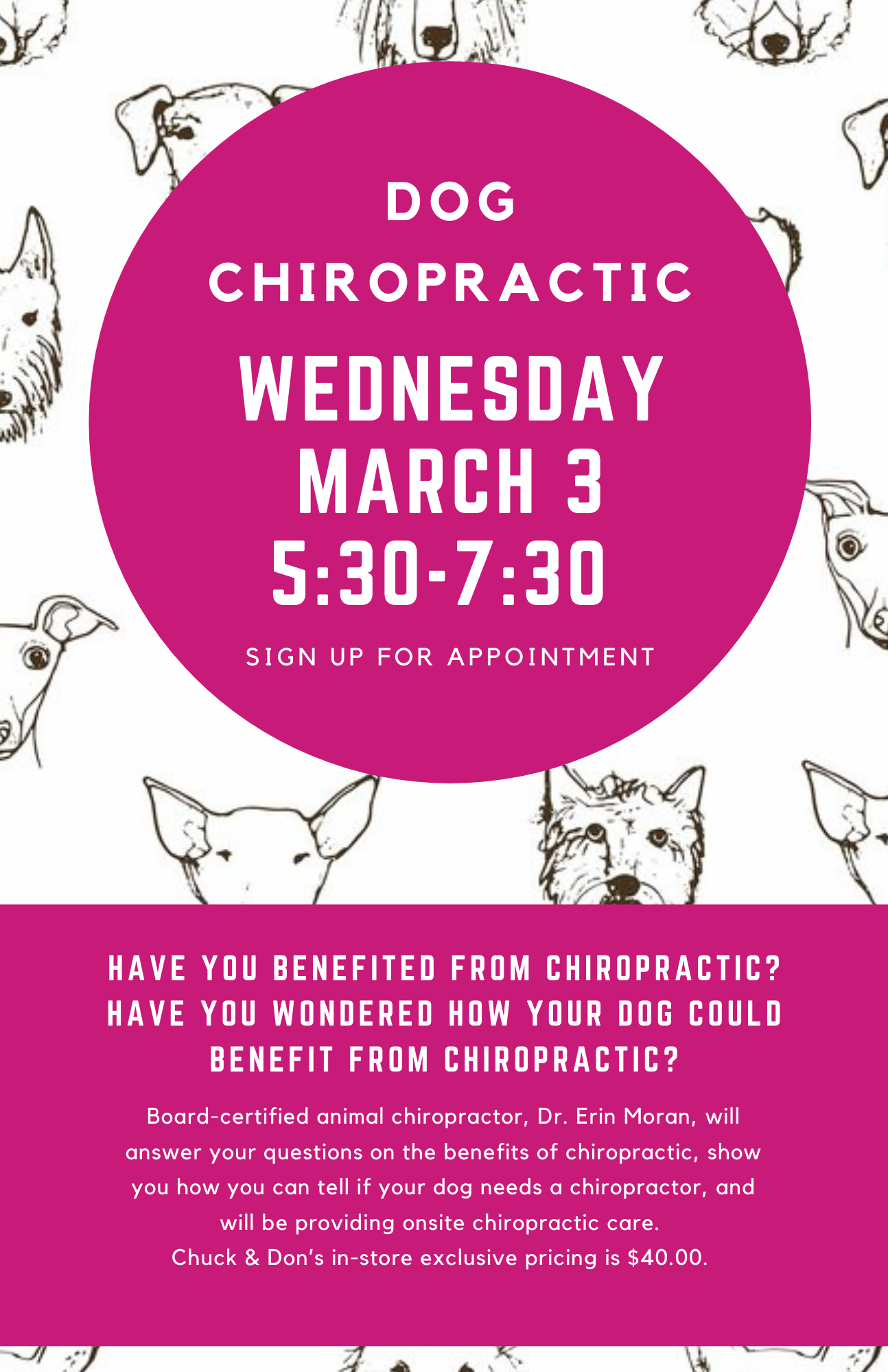 Dog Chiropractic Pop-Up Event