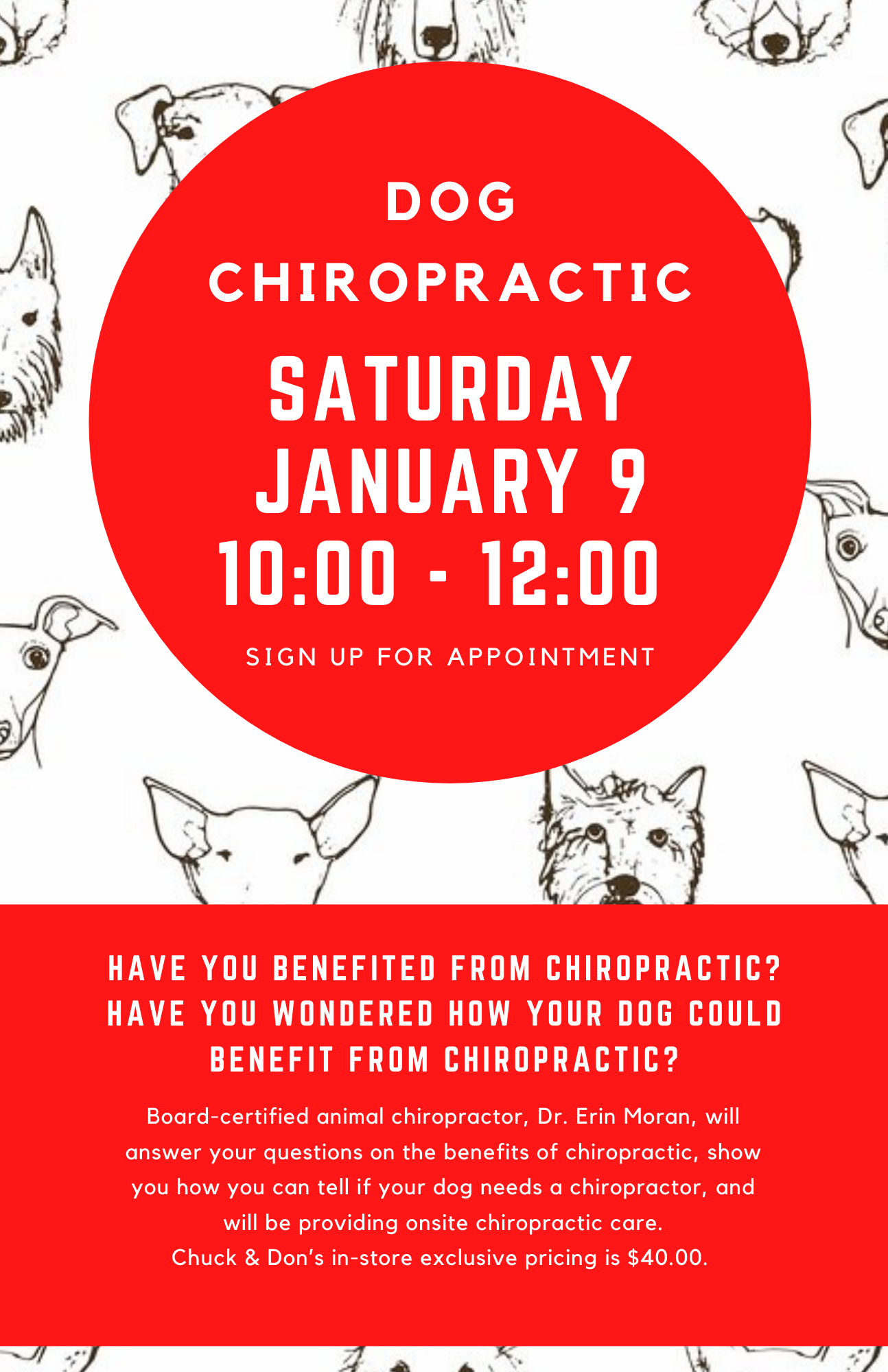Dog Chiropractic Pop-Up Event