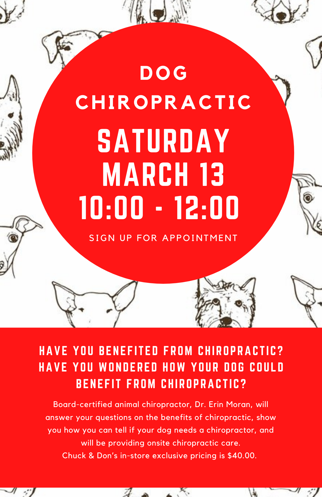 Dog Chiropractic Pop-Up Event