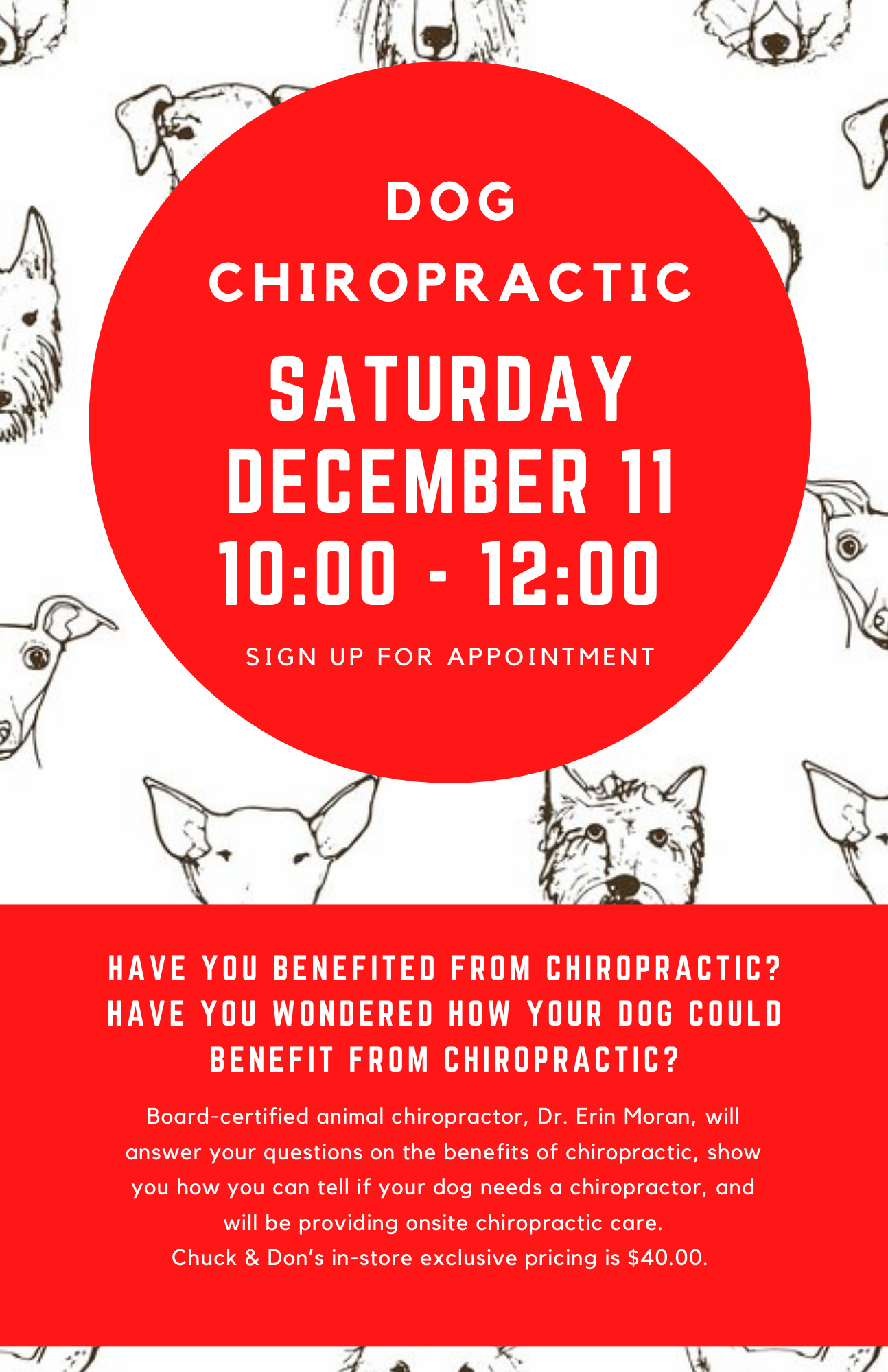Denver Dog Chiropractic Pop-Up Event — DENVER CENTRAL CHIROPRACTIC