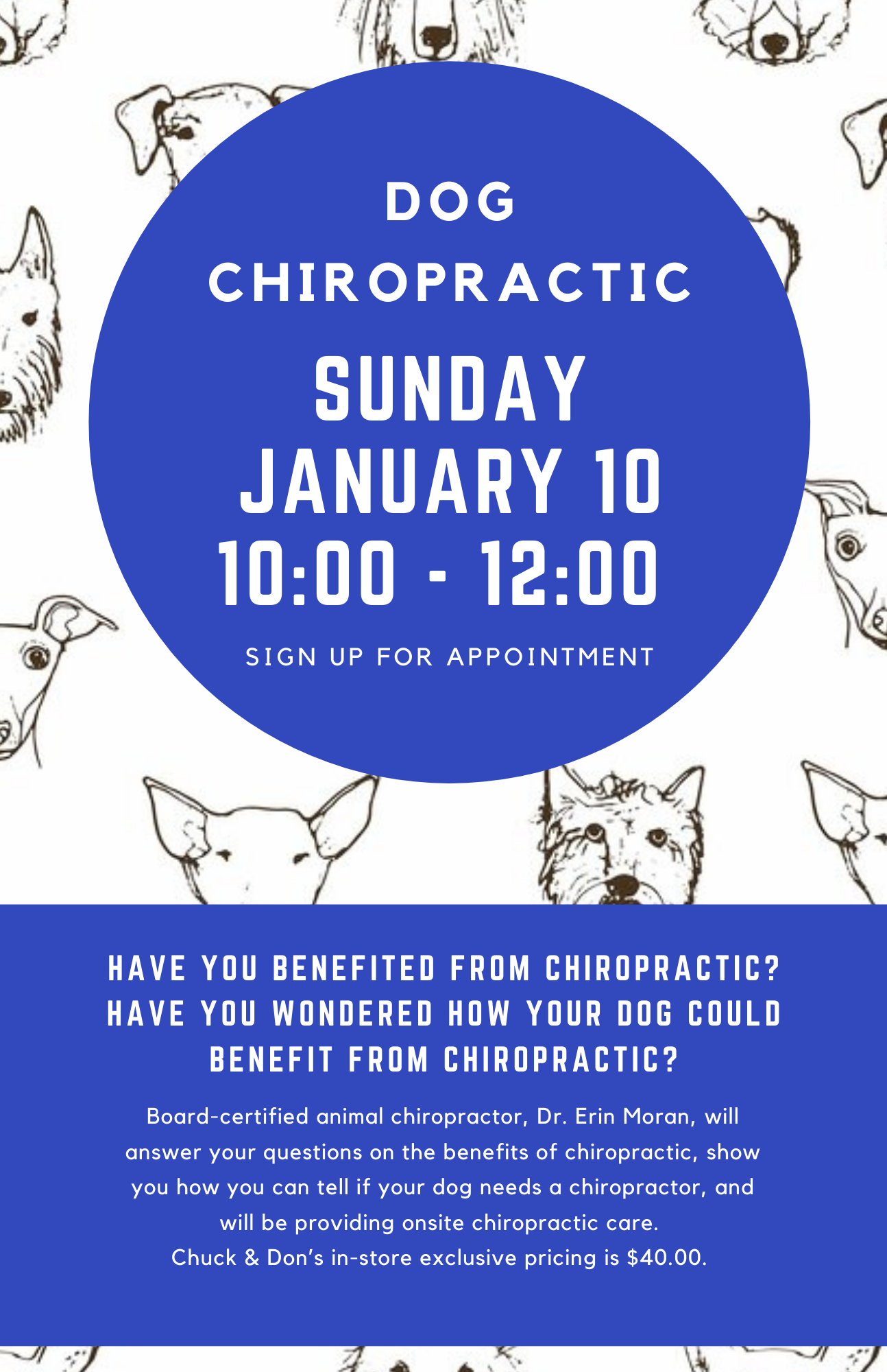 Dog Chiropractic Pop-Up Event