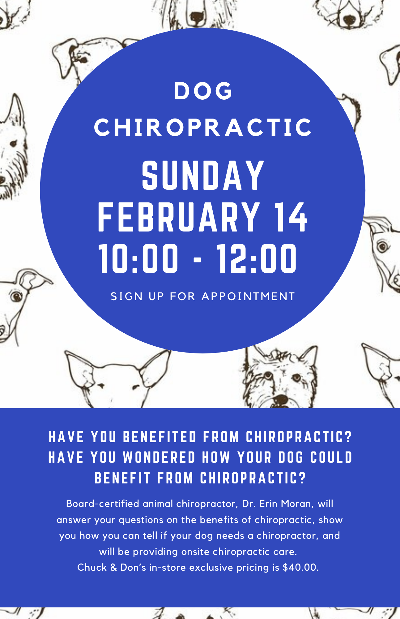 Dog Chiropractic Pop-Up Event