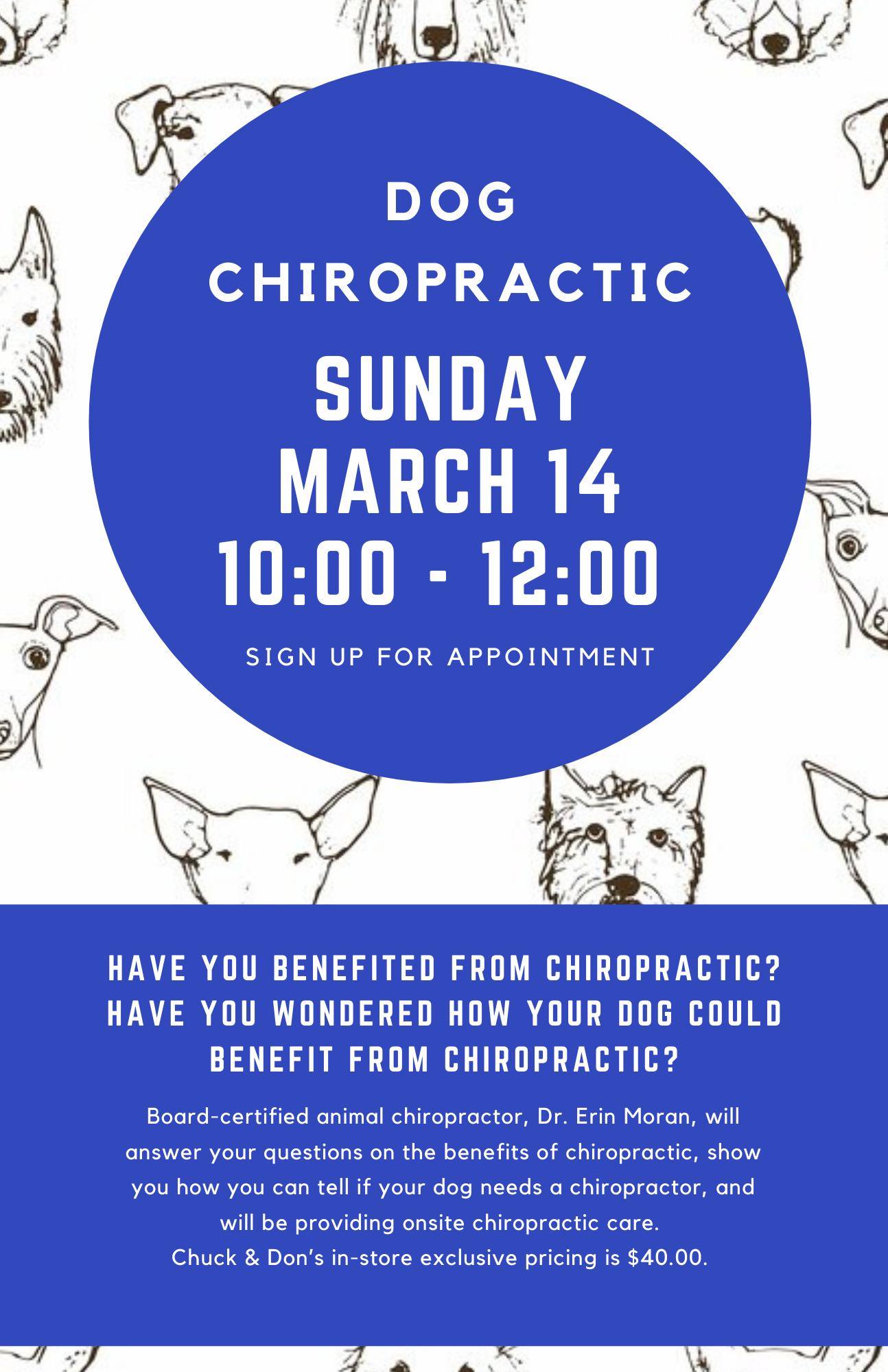 Dog Chiropractic Pop-Up Event