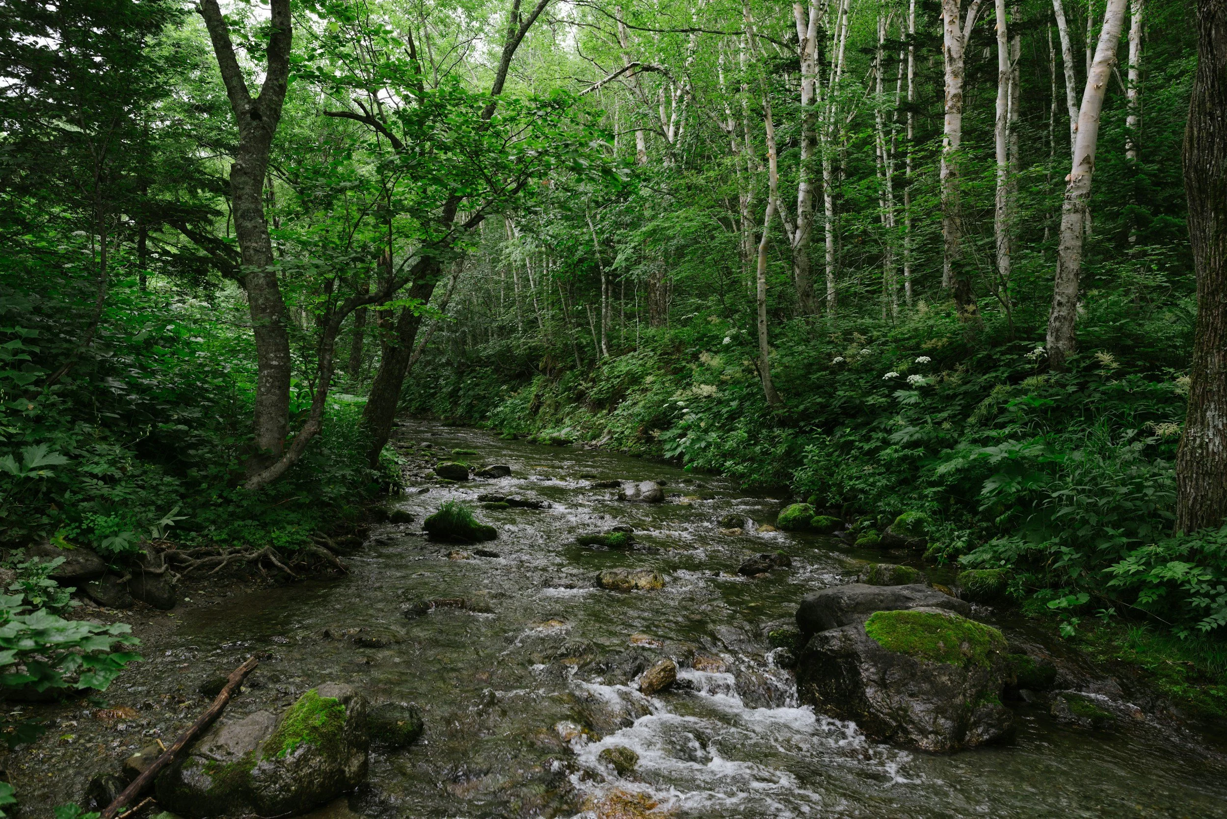 Sustainable Water Supply: What do you know beyond the faucet?