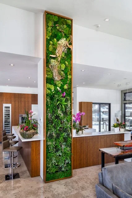 Living Wall Secrets: A Guide for Real Estate &amp; Design