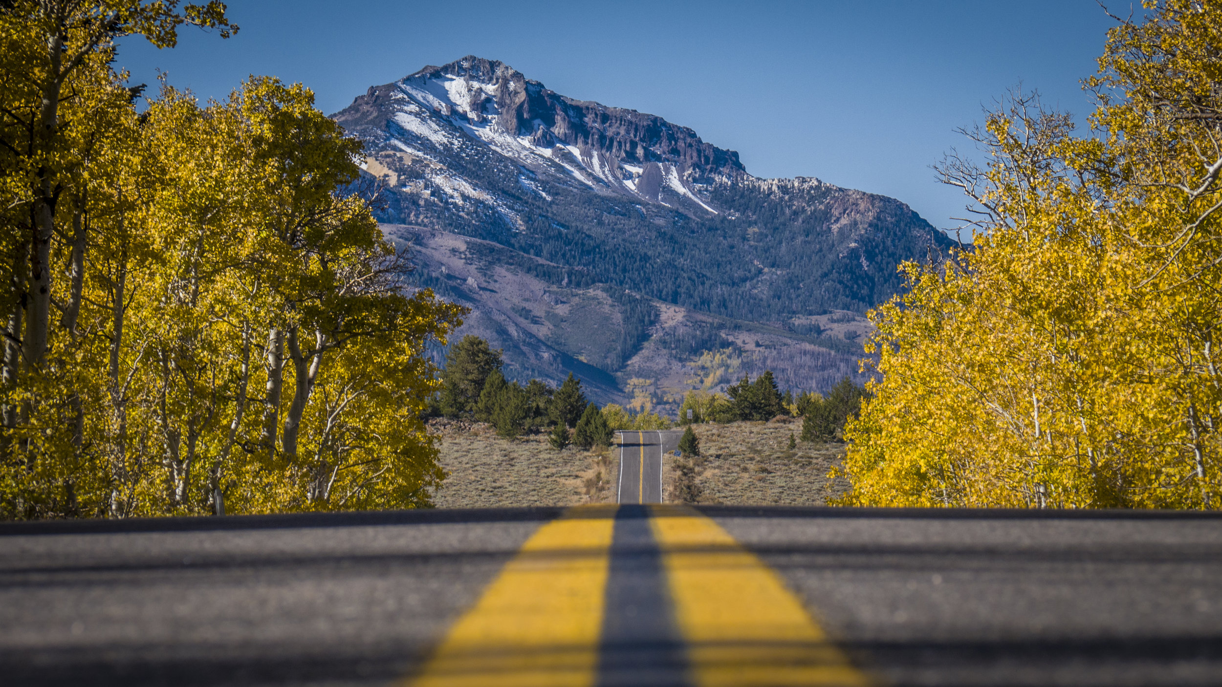 Monitor Pass | Alpine County