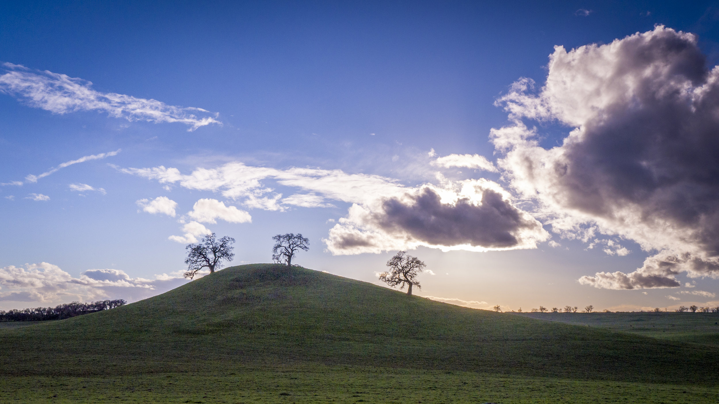 The Three Sisters | Scott Road Folsom