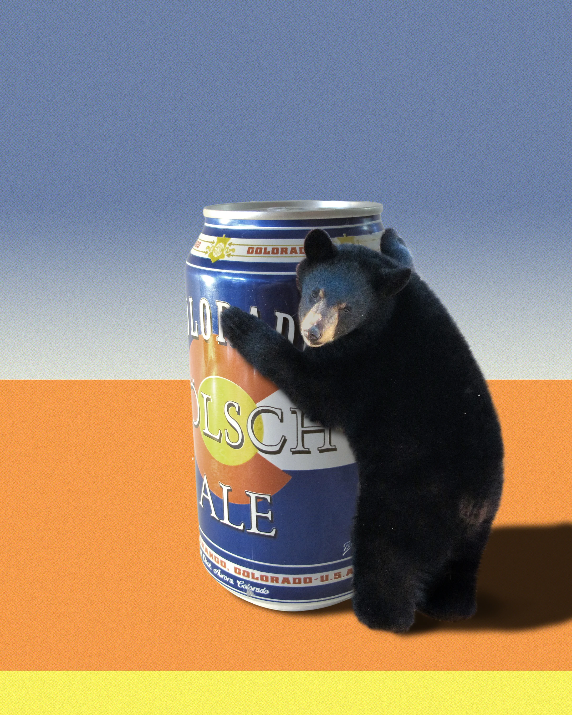 Big Beer? Little Bear?
