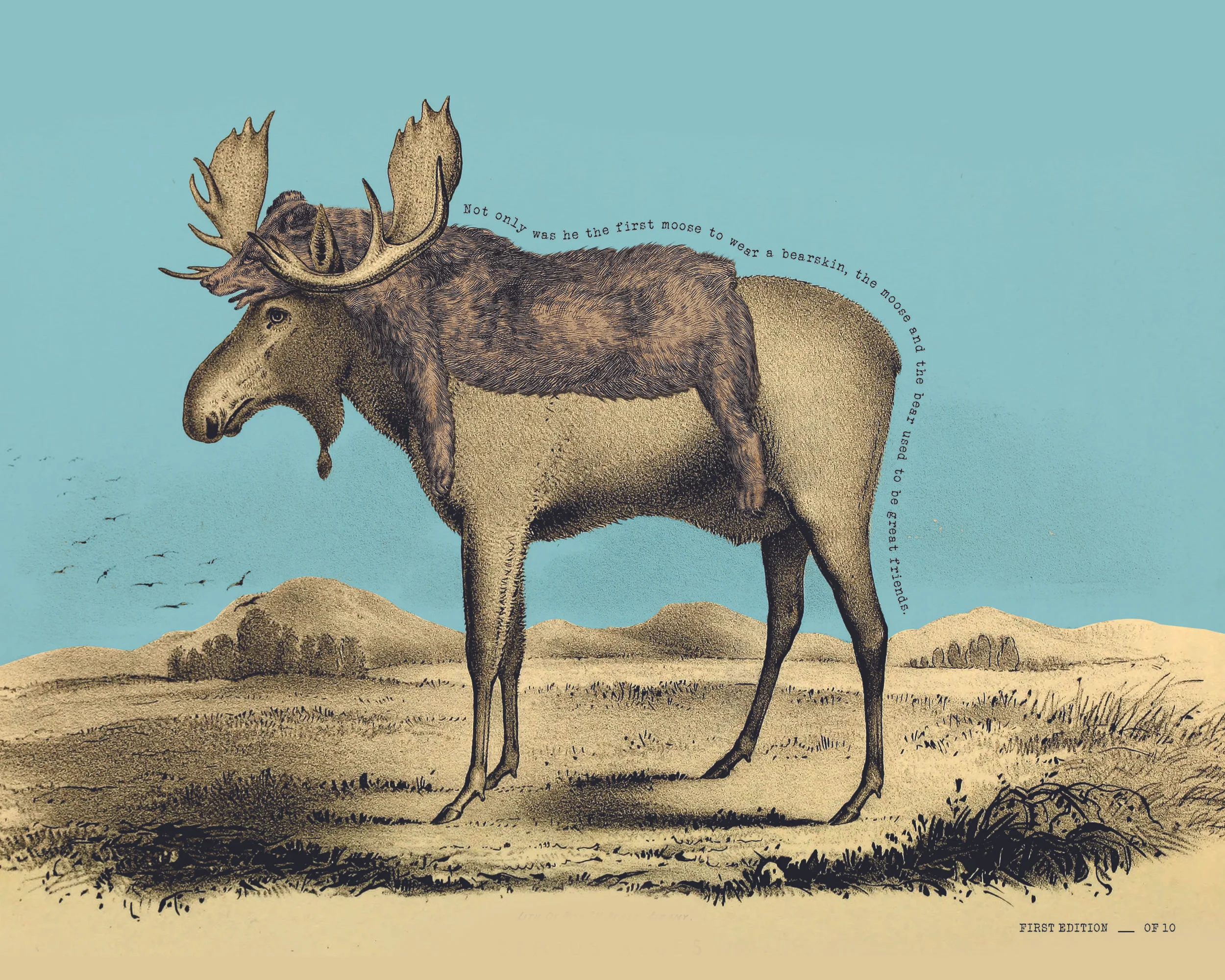 moose bearr_10x8.jpg