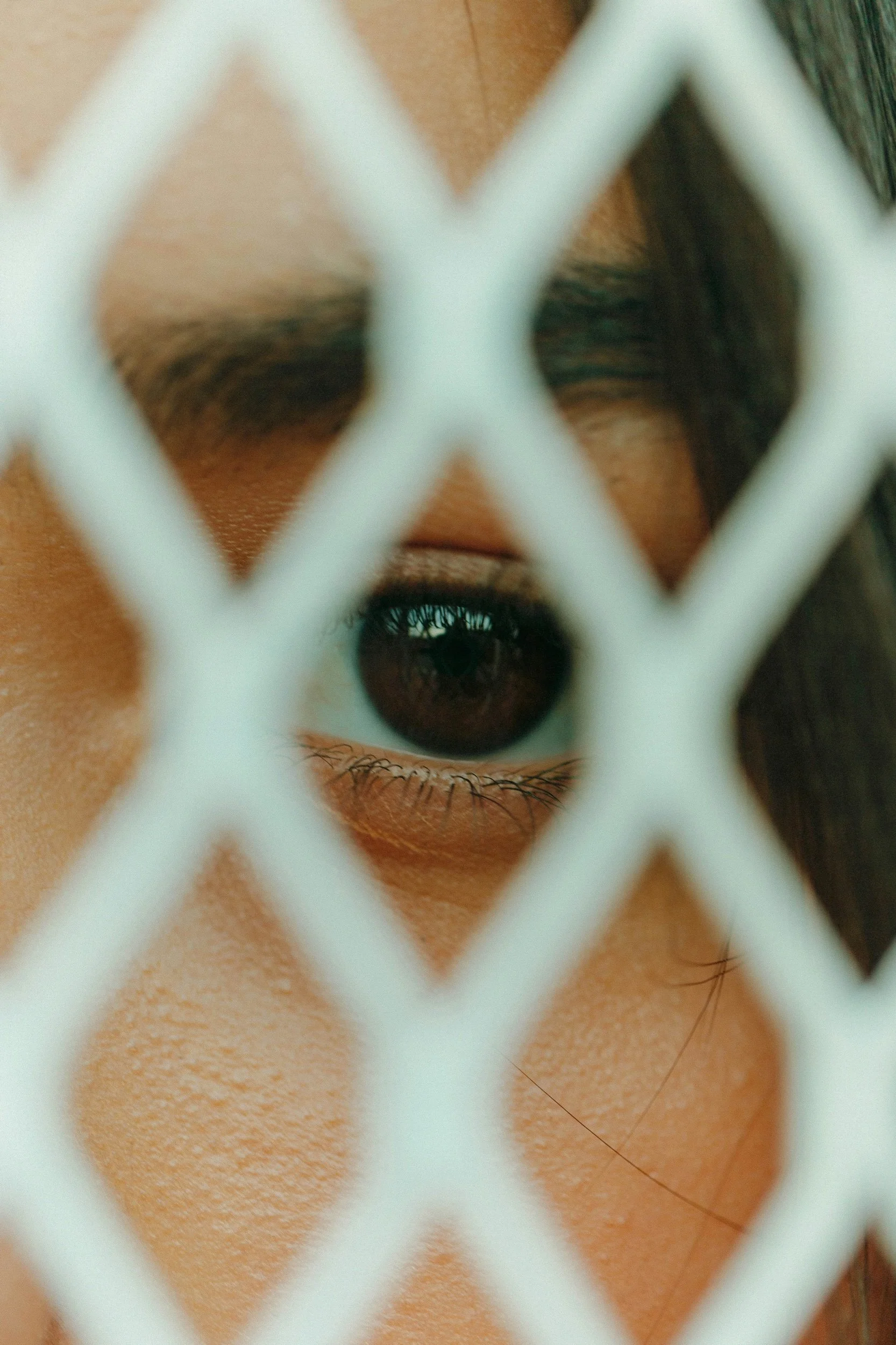 ¿Ayuda humanitaria?