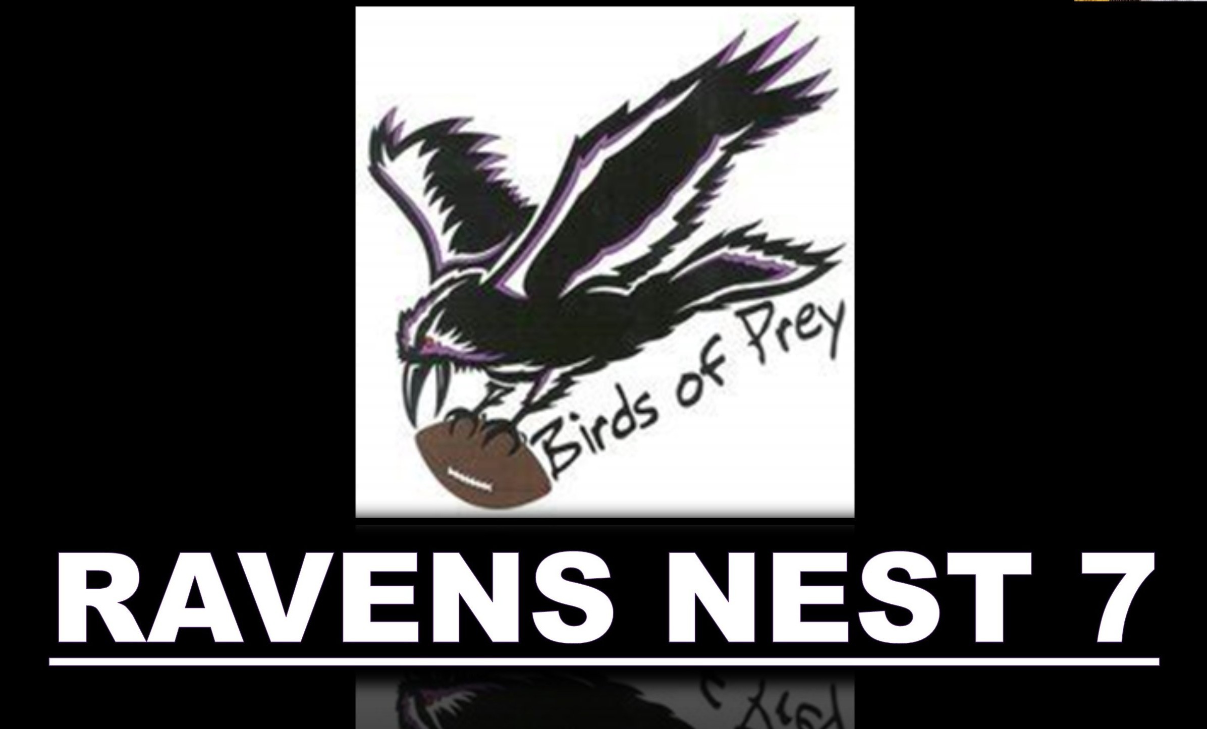 Ravens Nest 7 (2).jpg