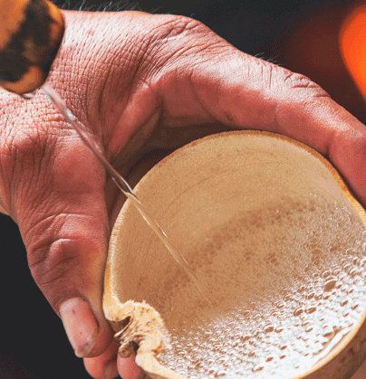 elkochmezcal.gif