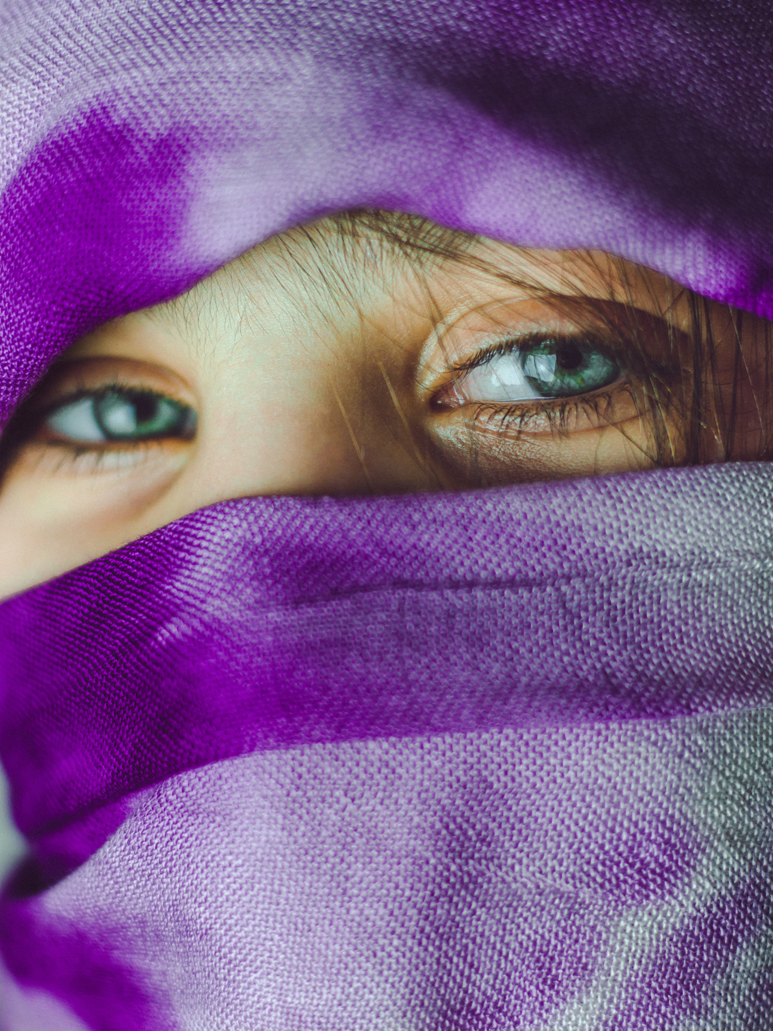 The State of Refugees, Global & Local