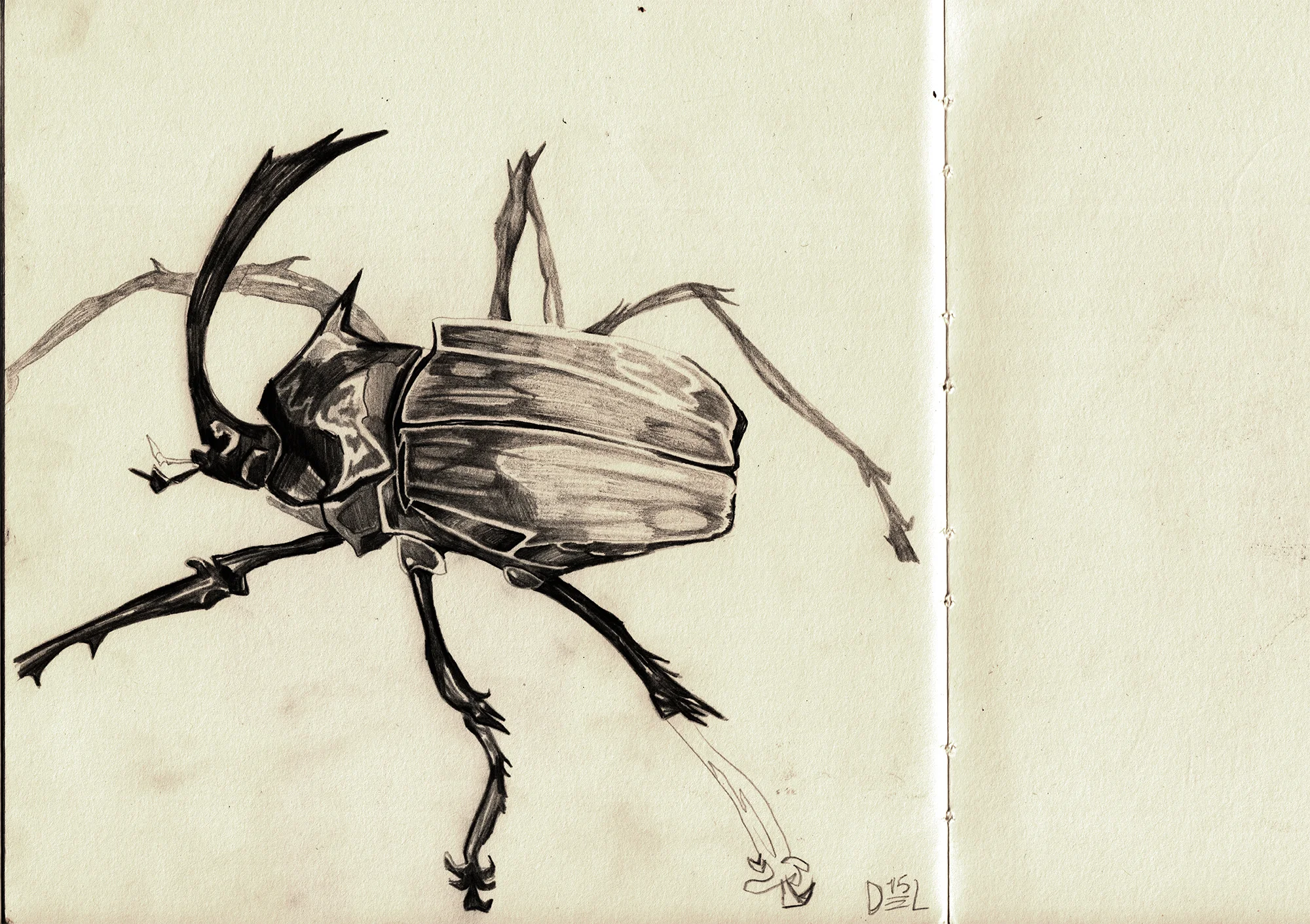 'Beetle' - 2015