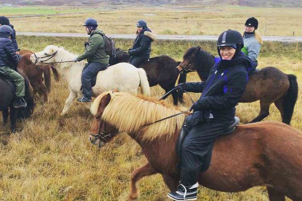 Iceland horseriding.jpg